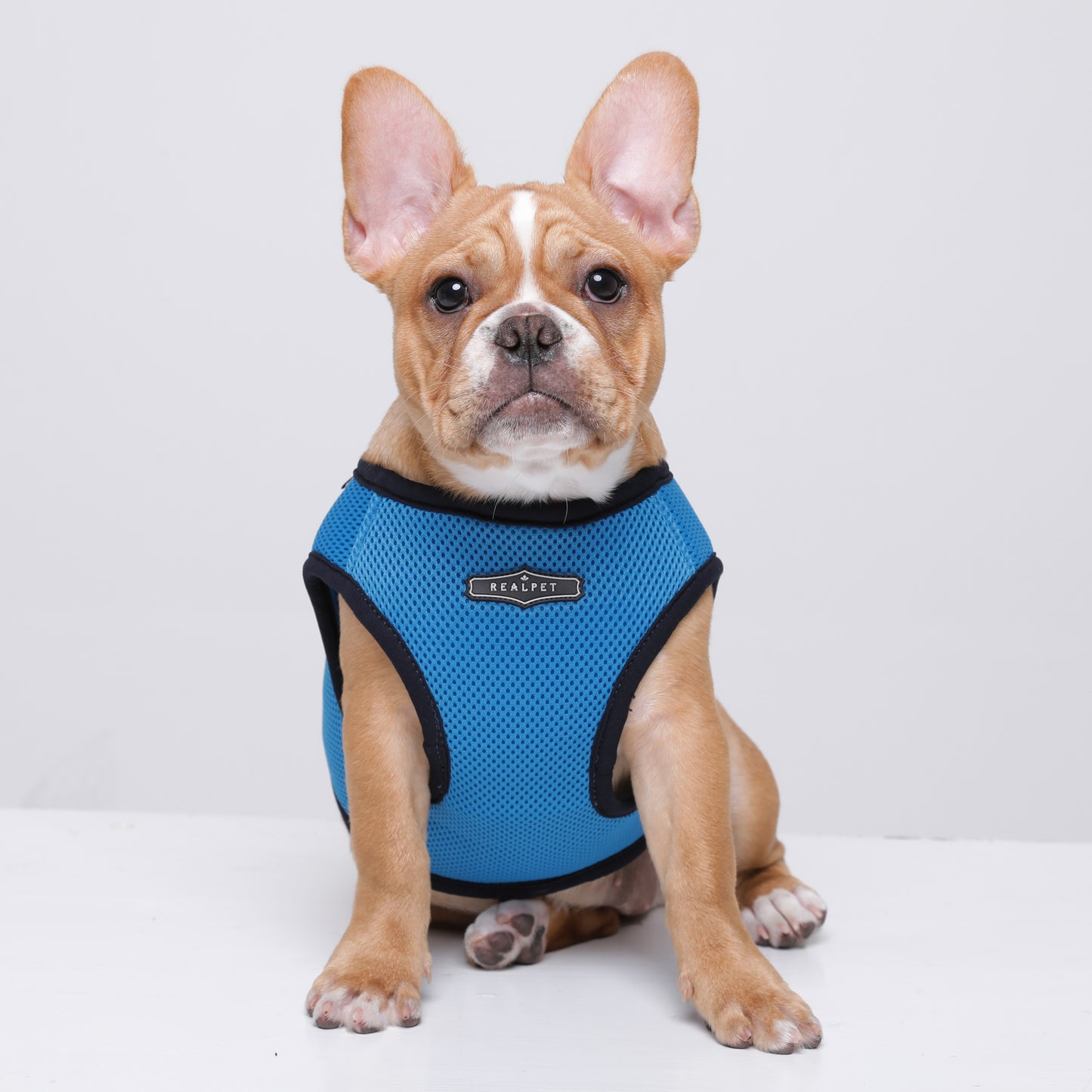 NINE TIMO JACKET HARNESS