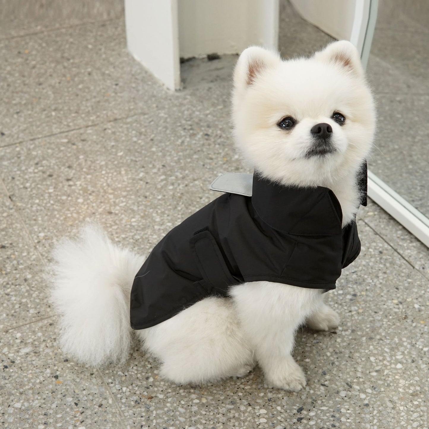 SIMPLE RAINCOAT