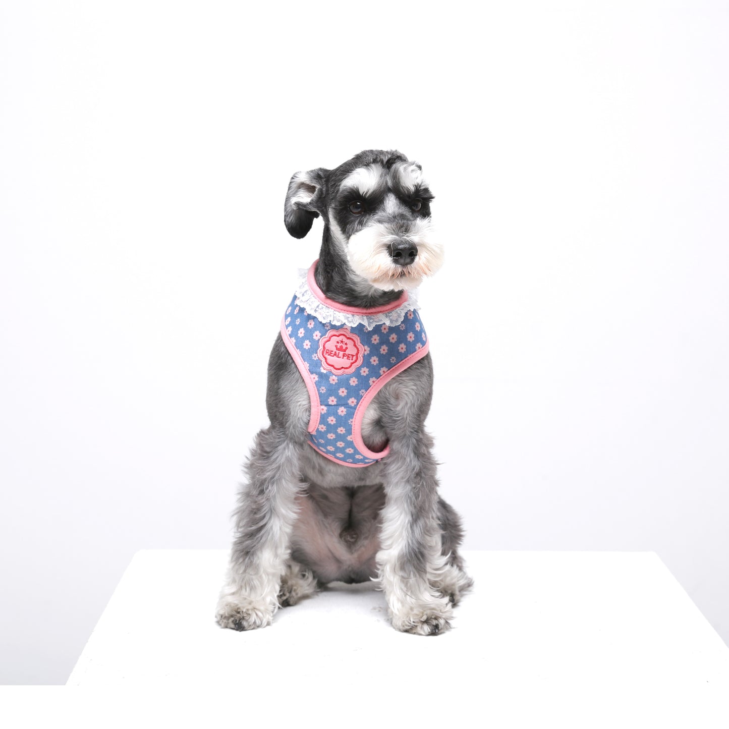 FLOWER HARNESS