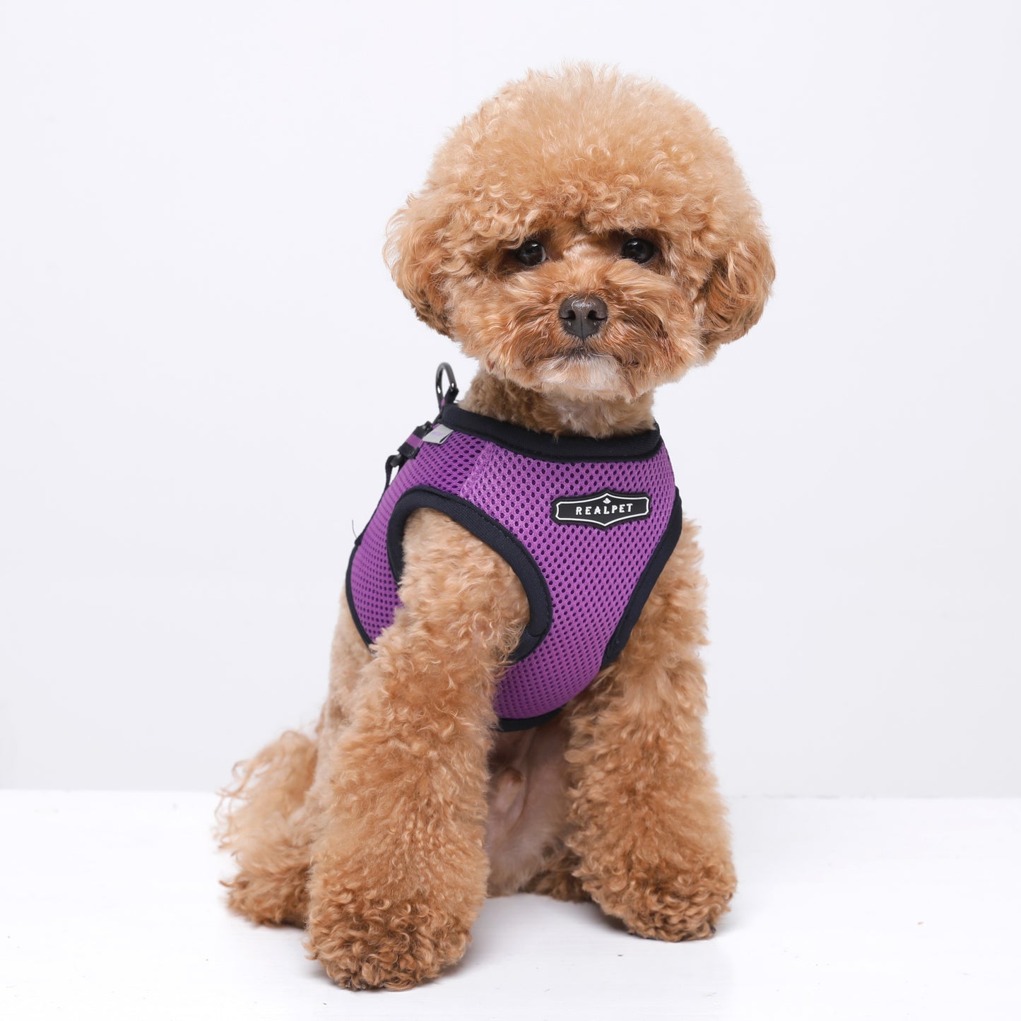 NINE TIMO JACKET HARNESS