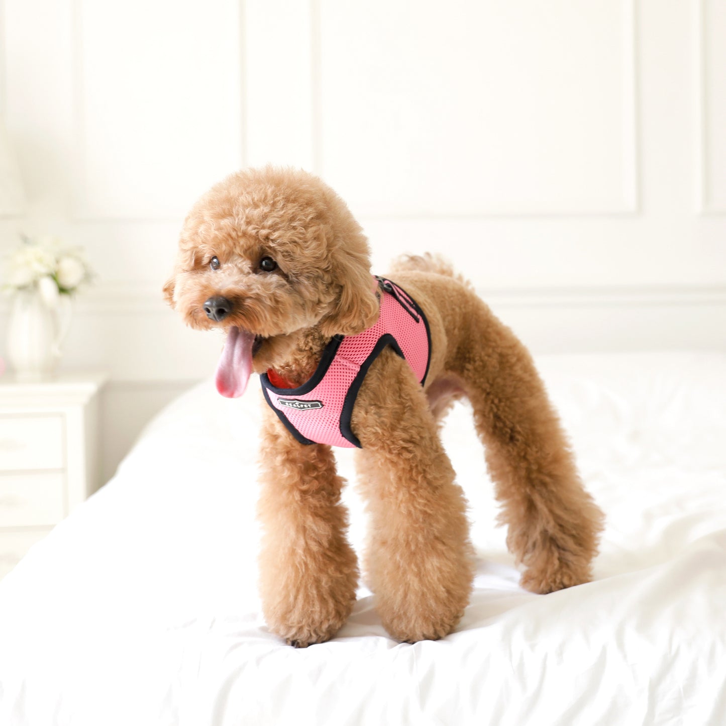 NINE TIMO JACKET HARNESS
