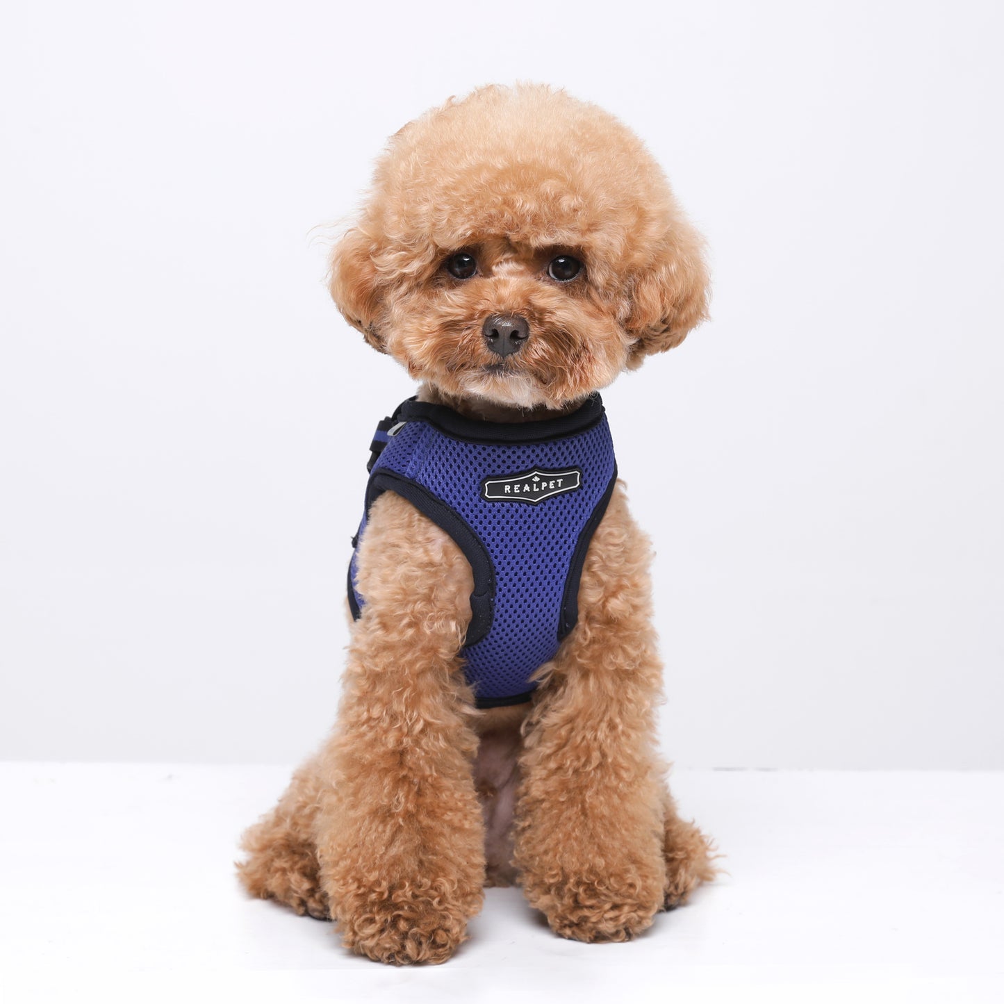 NINE TIMO JACKET HARNESS