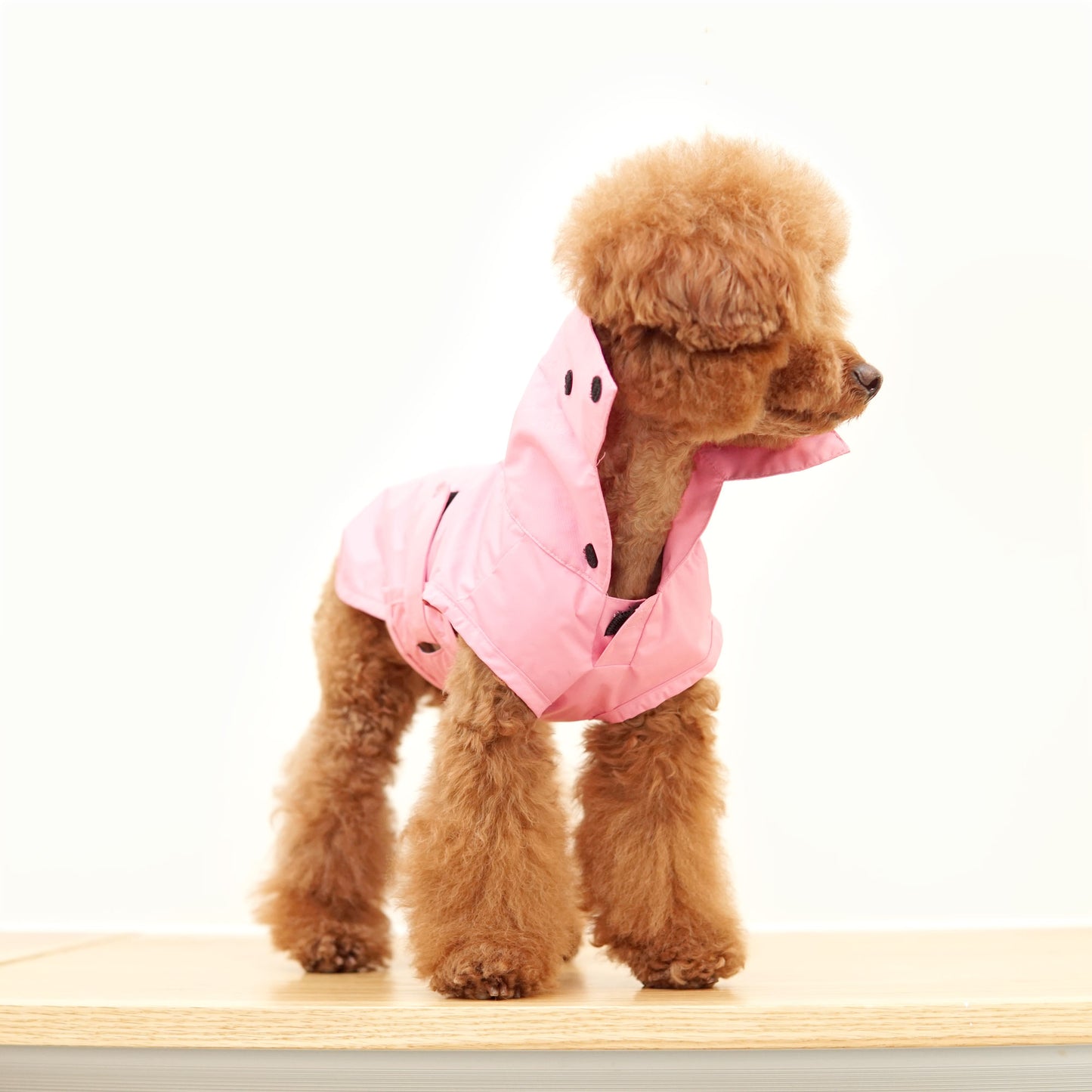 SIMPLE RAINCOAT