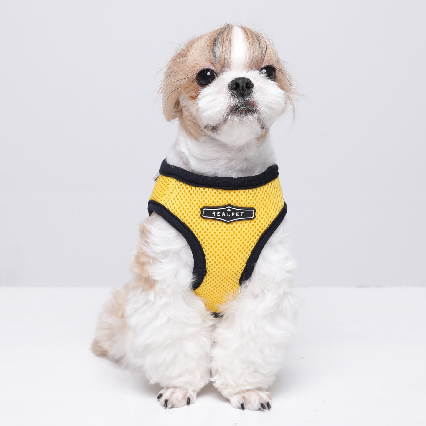 NINE TIMO JACKET HARNESS