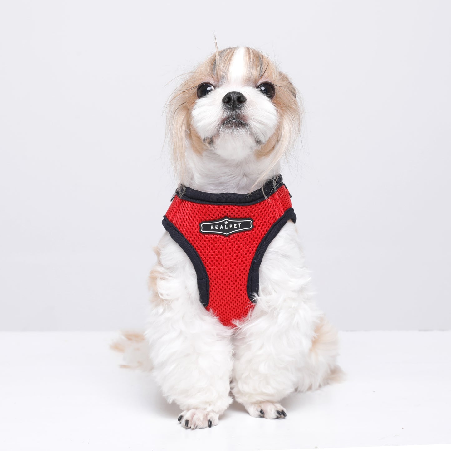 NINE TIMO JACKET HARNESS