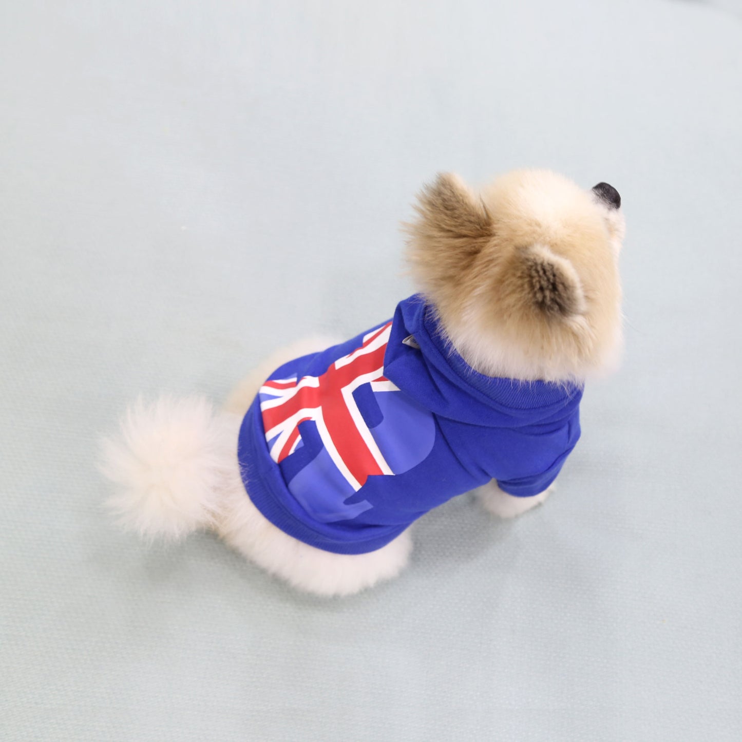 REAL UNION JACK HOOD