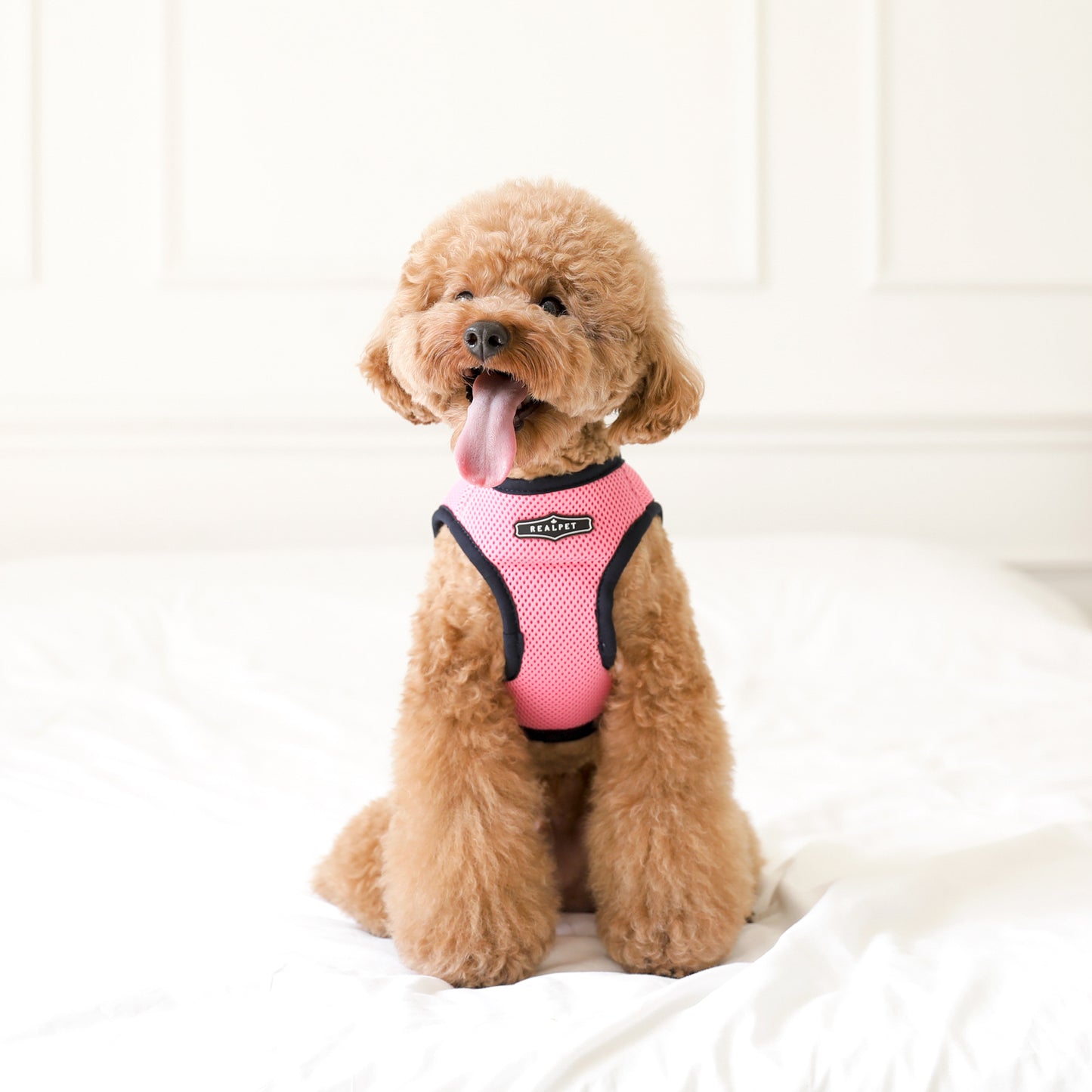 NINE TIMO JACKET HARNESS