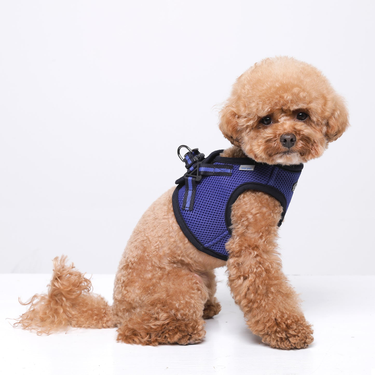 NINE TIMO JACKET HARNESS