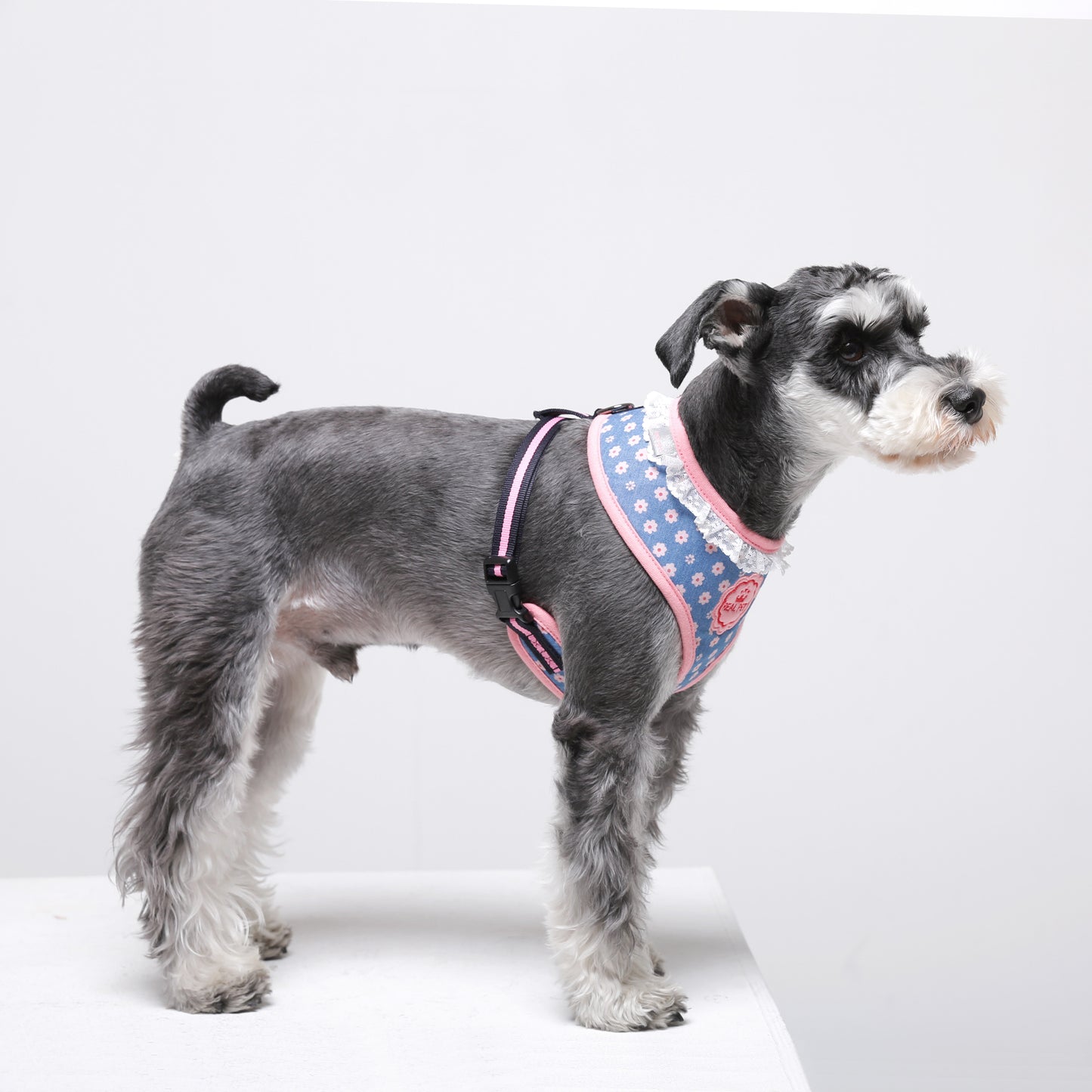 FLOWER HARNESS