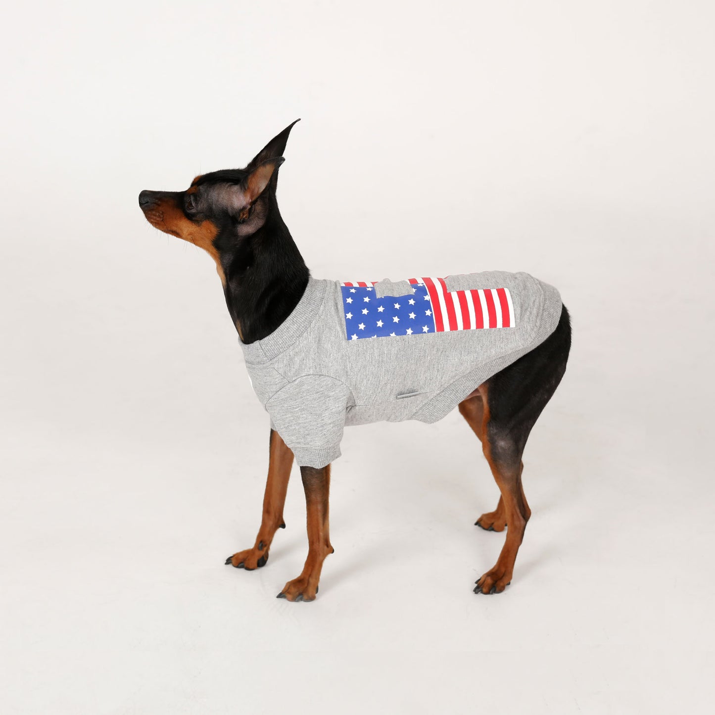 STARS AND STRIPES ROUND