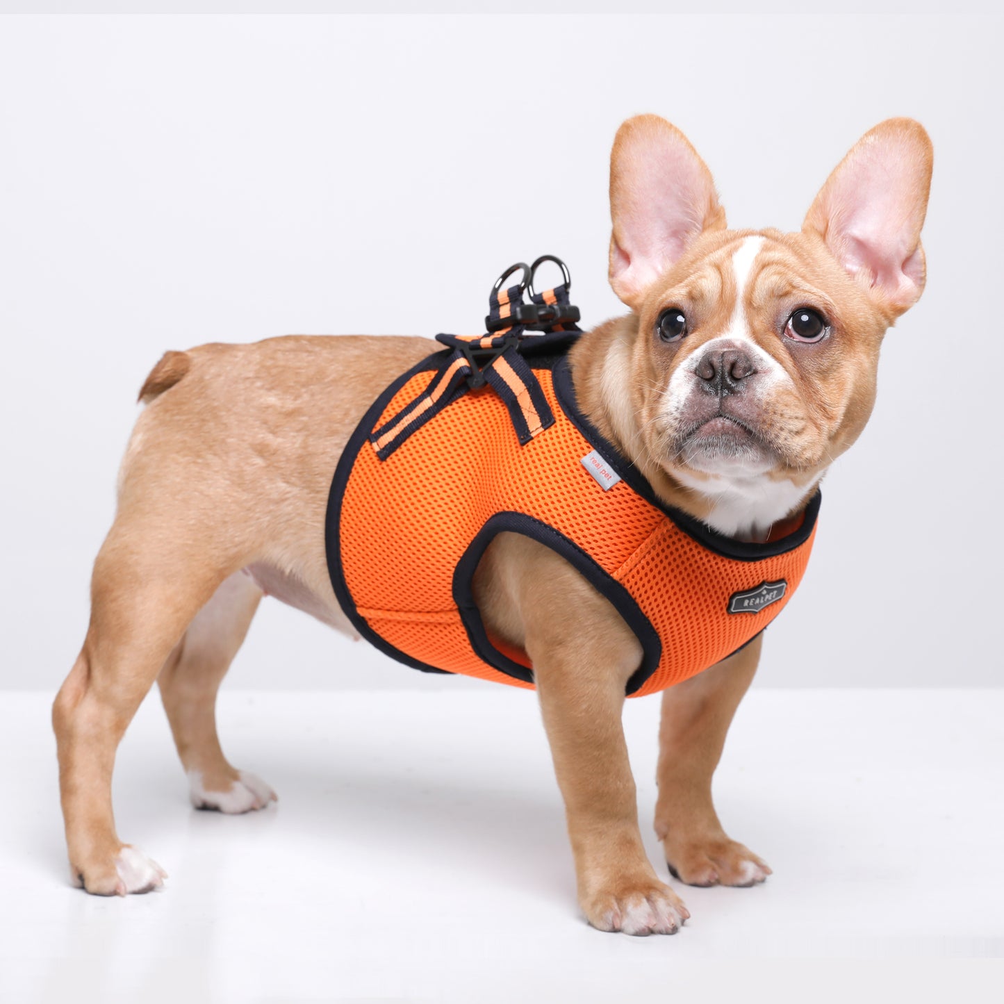 NINE TIMO JACKET HARNESS