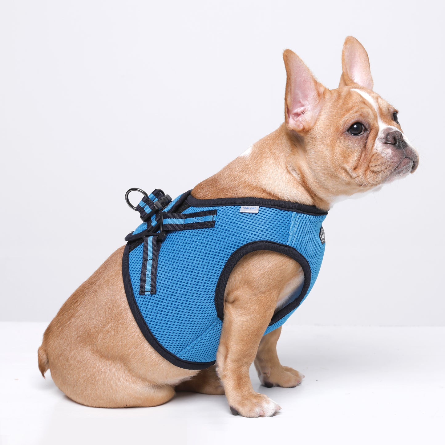 NINE TIMO JACKET HARNESS