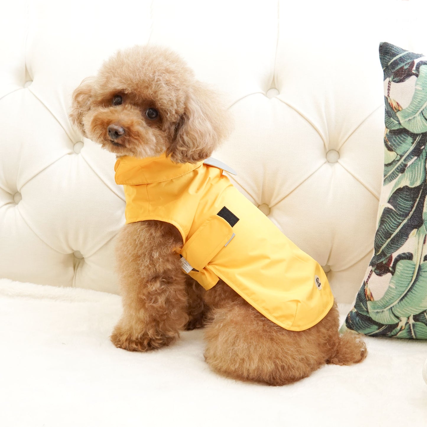 SIMPLE RAINCOAT