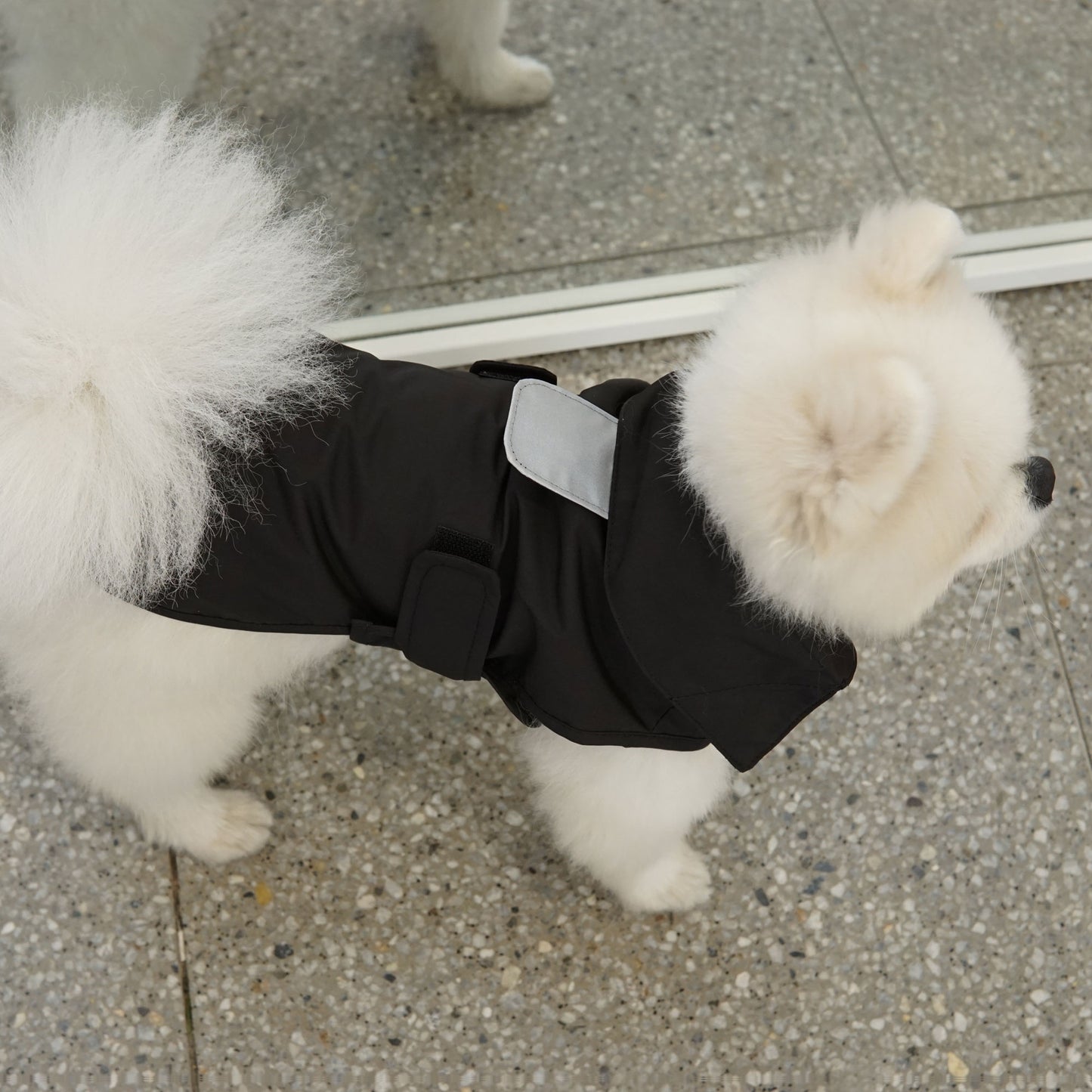 SIMPLE RAINCOAT