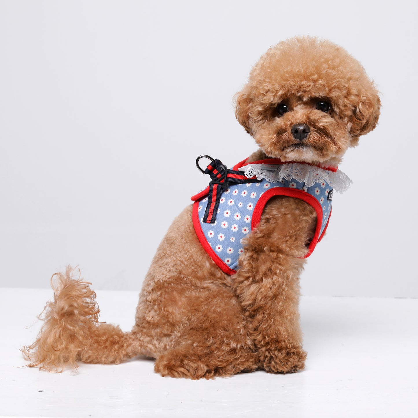 FLOWER JACKET HARNESS