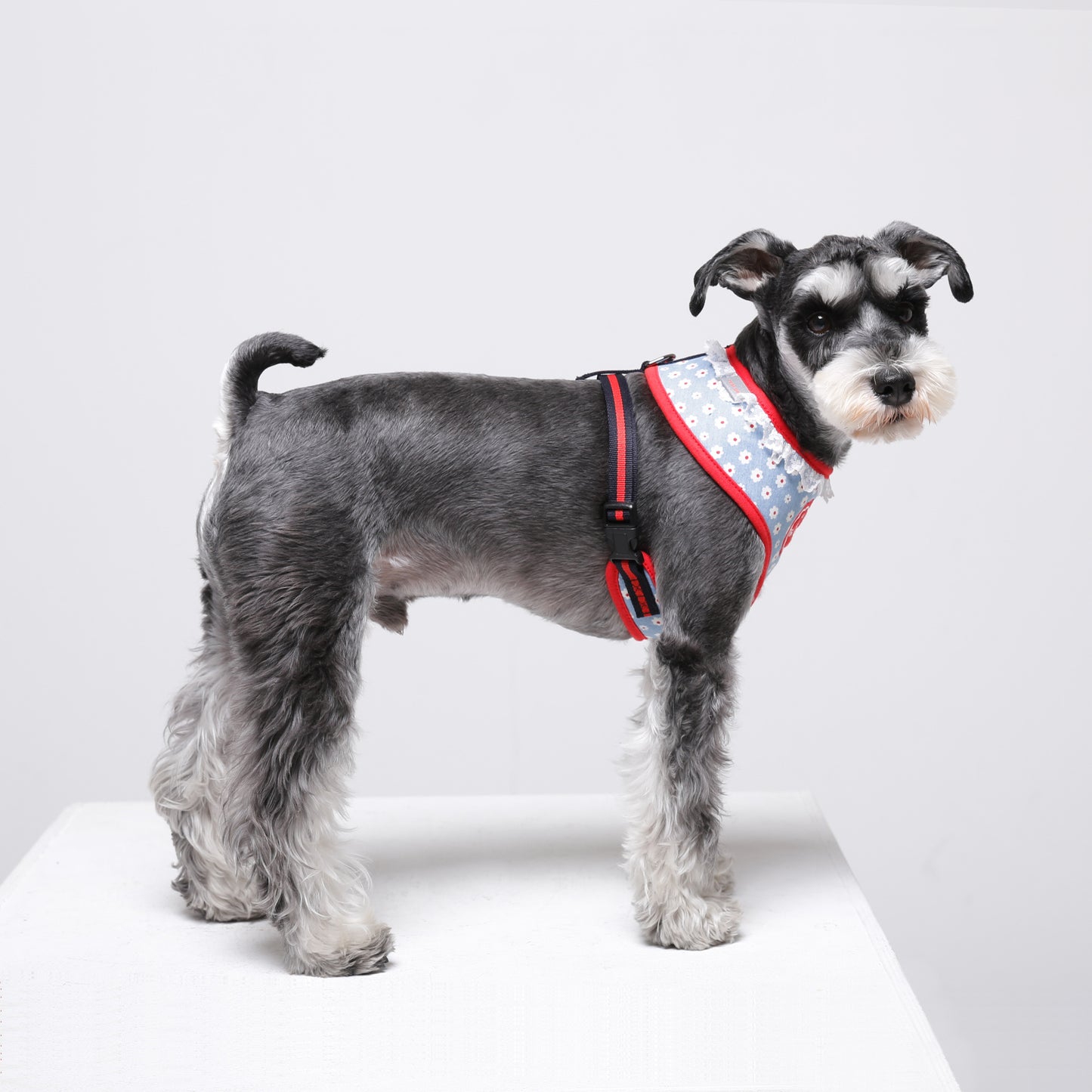 FLOWER HARNESS
