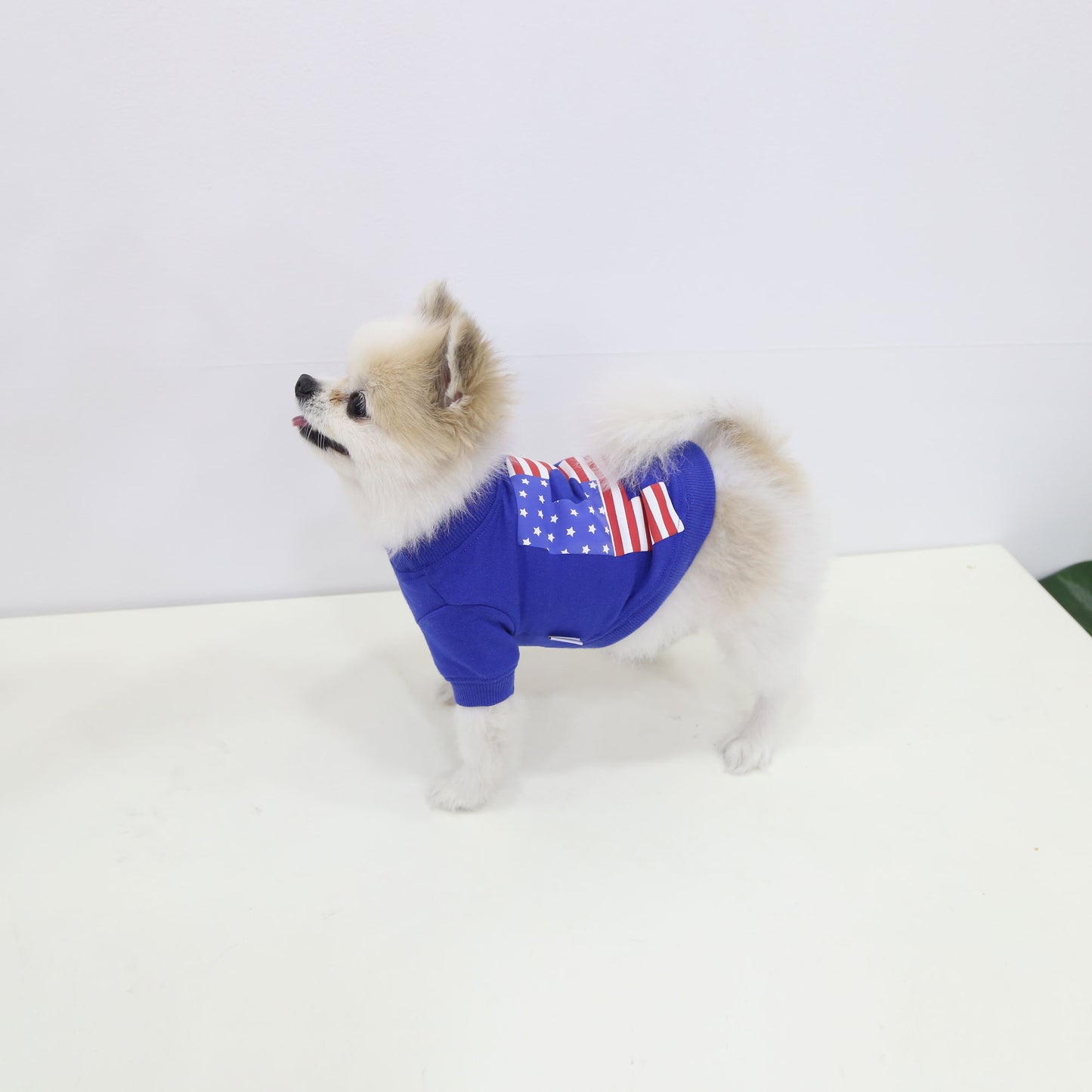 STARS AND STRIPES ROUND