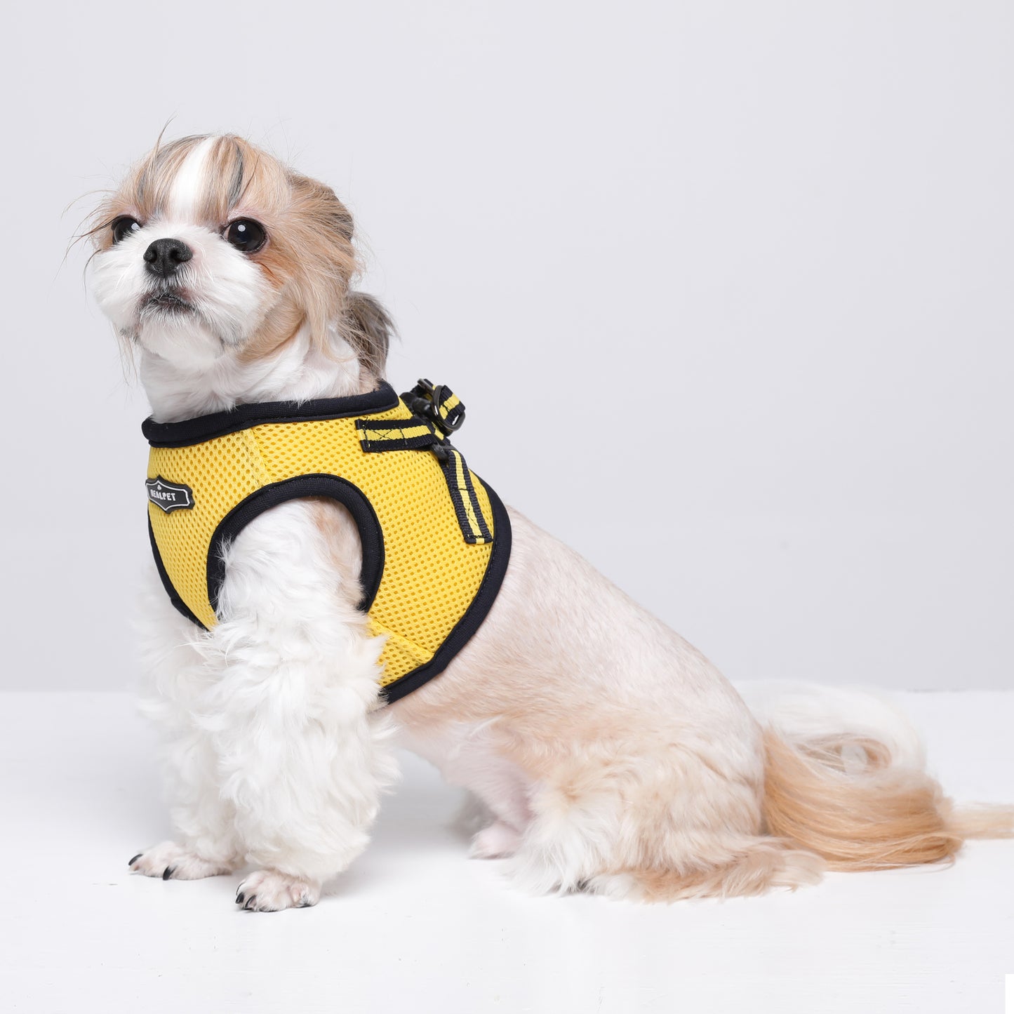 NINE TIMO JACKET HARNESS