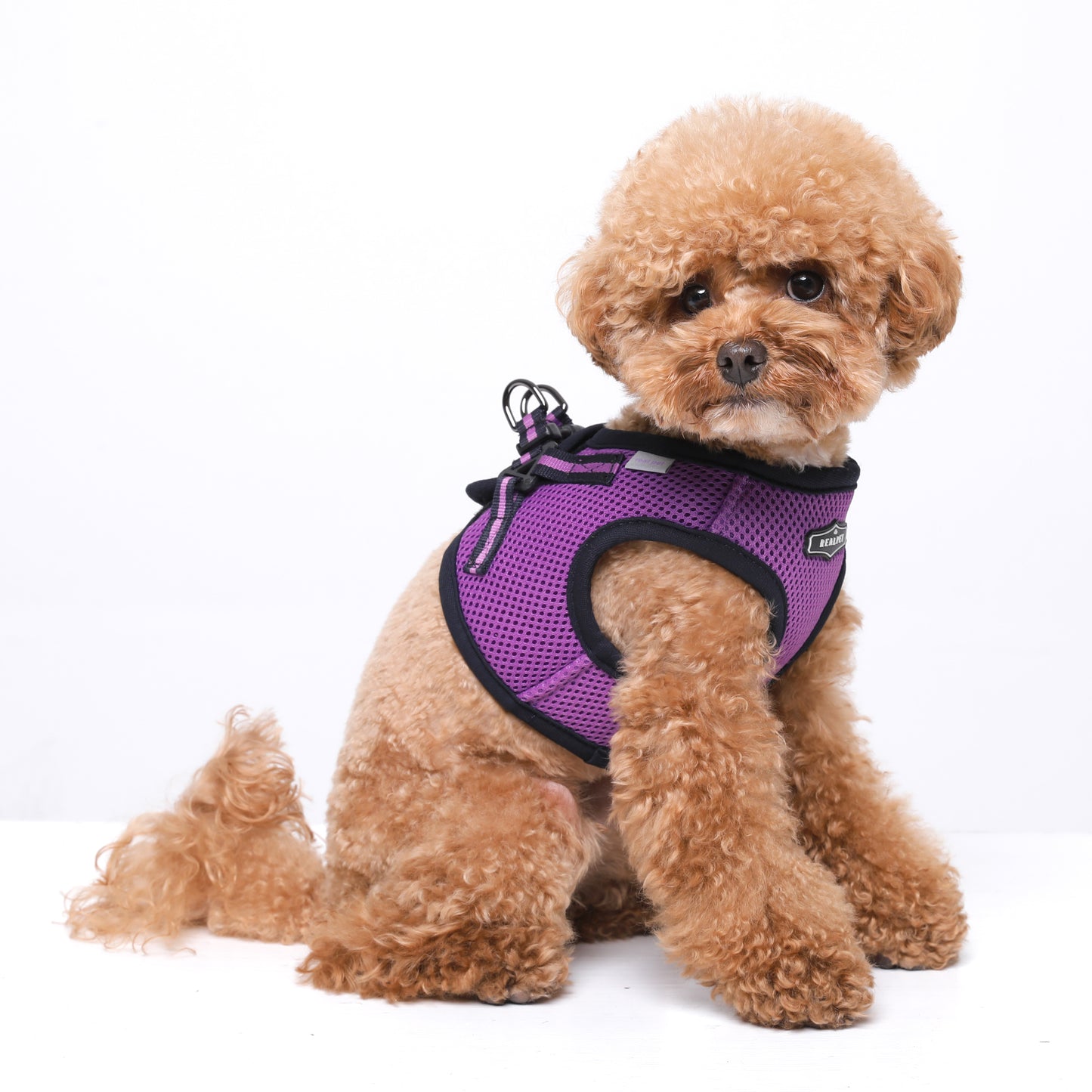 NINE TIMO JACKET HARNESS
