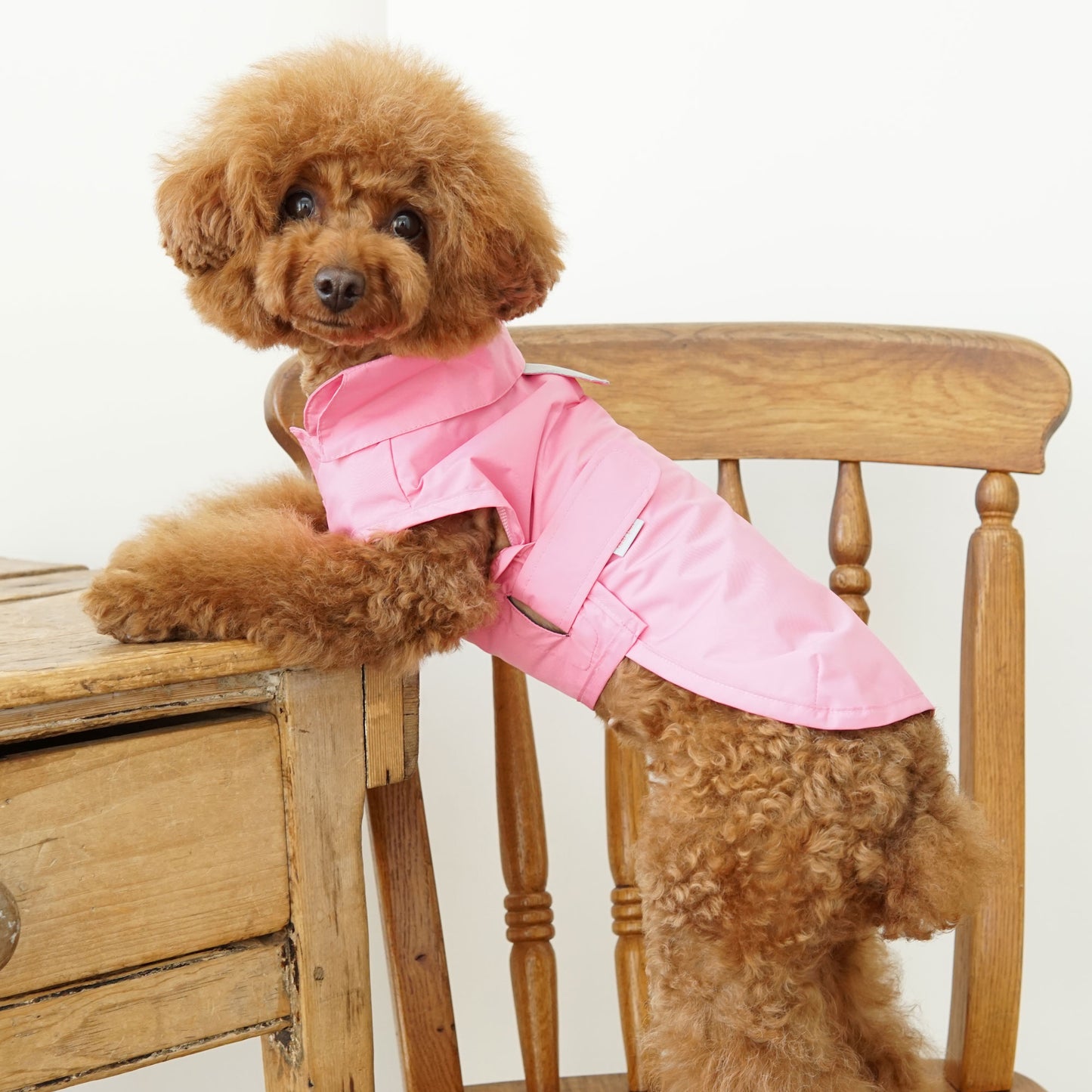 SIMPLE RAINCOAT
