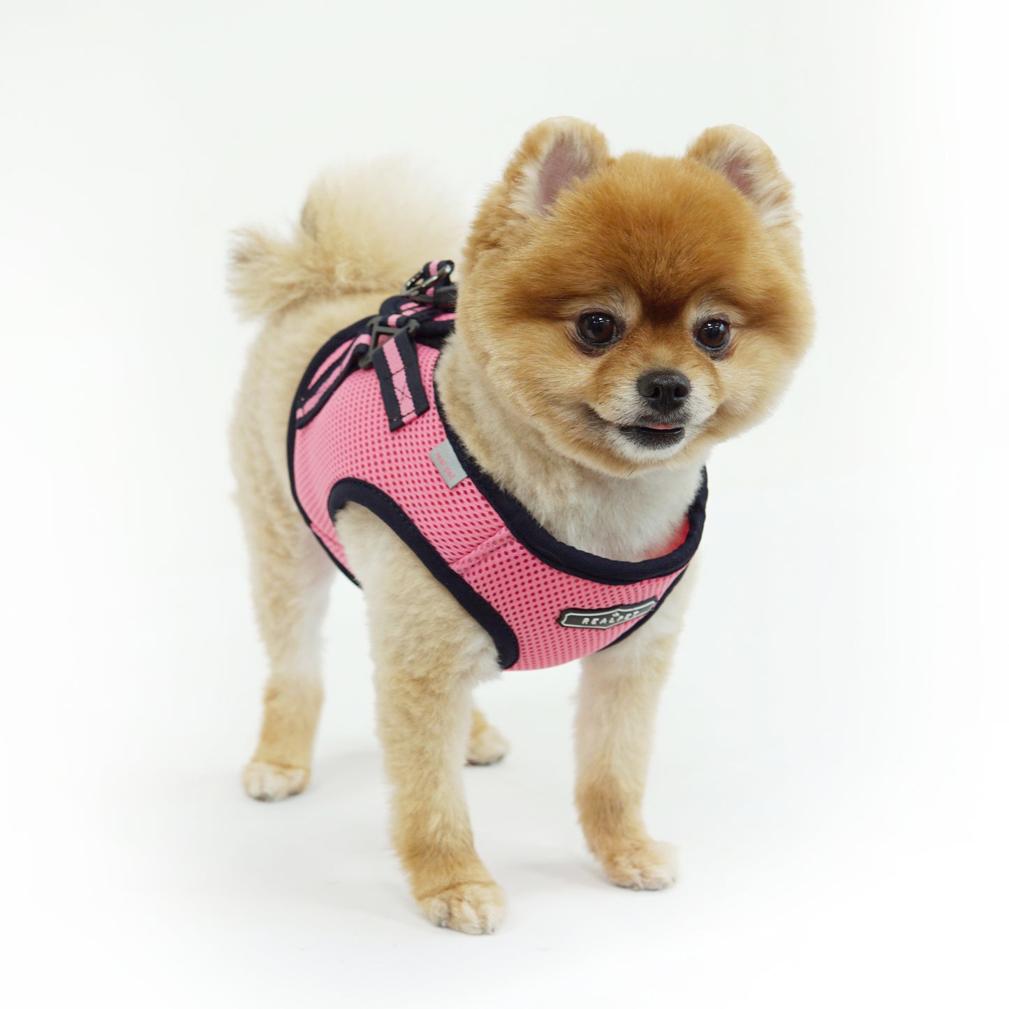 NINE TIMO JACKET HARNESS