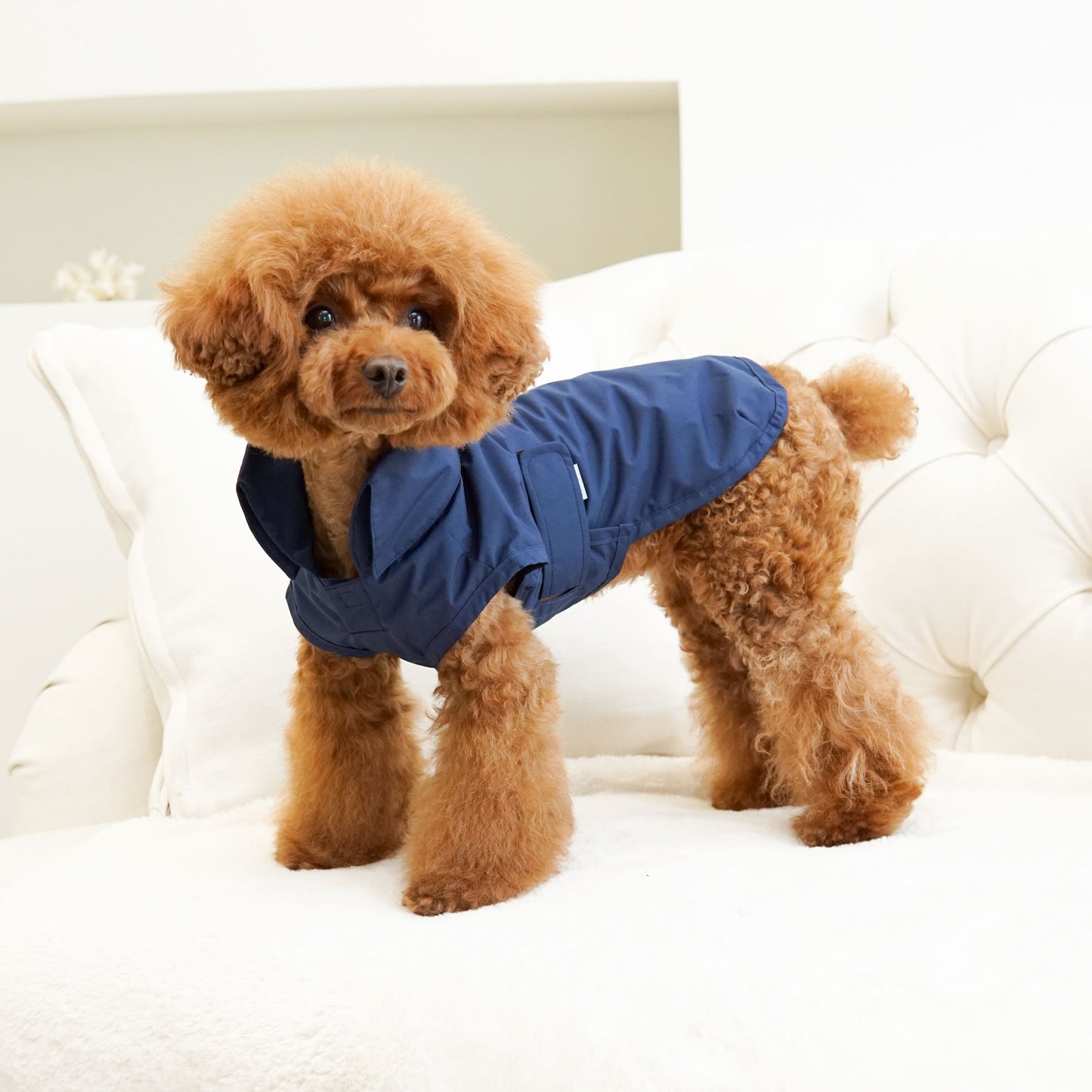SIMPLE RAINCOAT