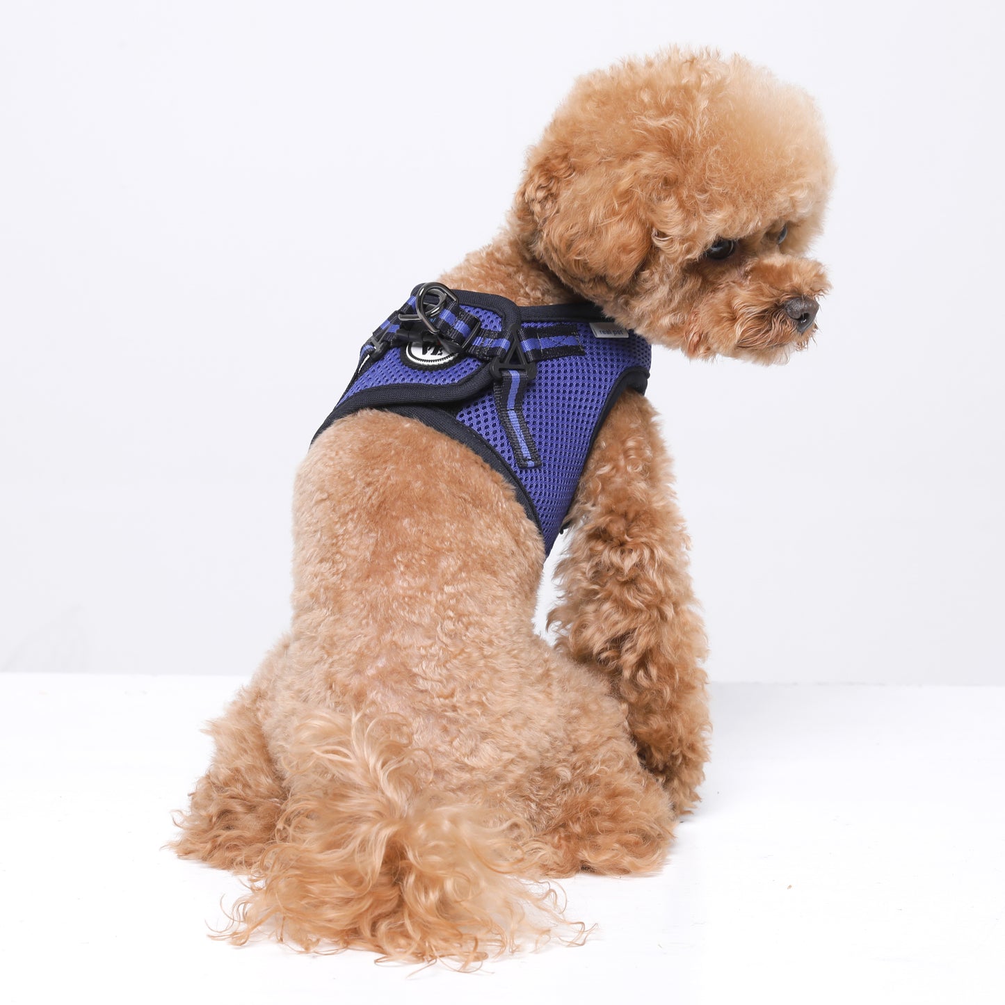 NINE TIMO JACKET HARNESS