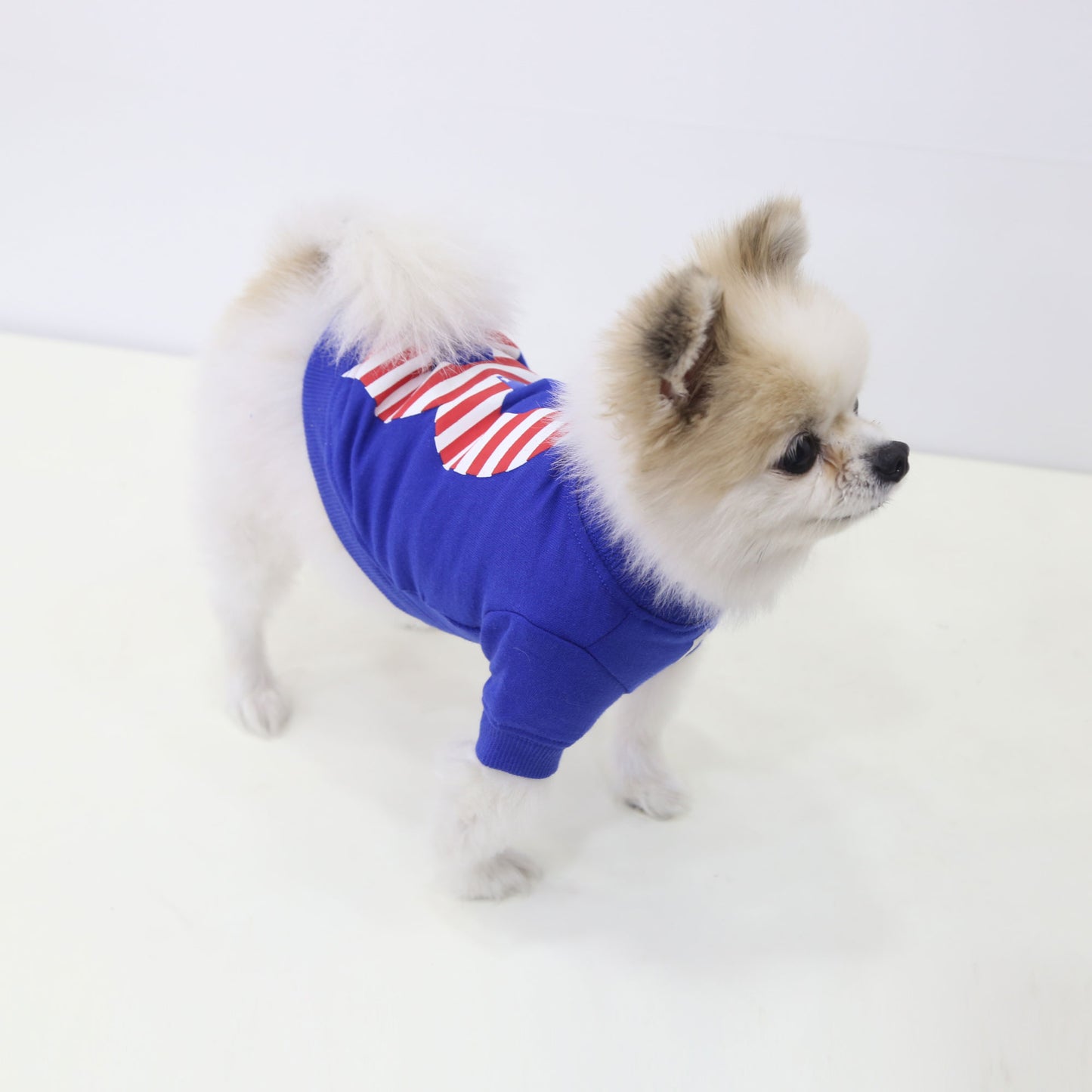 STARS AND STRIPES ROUND