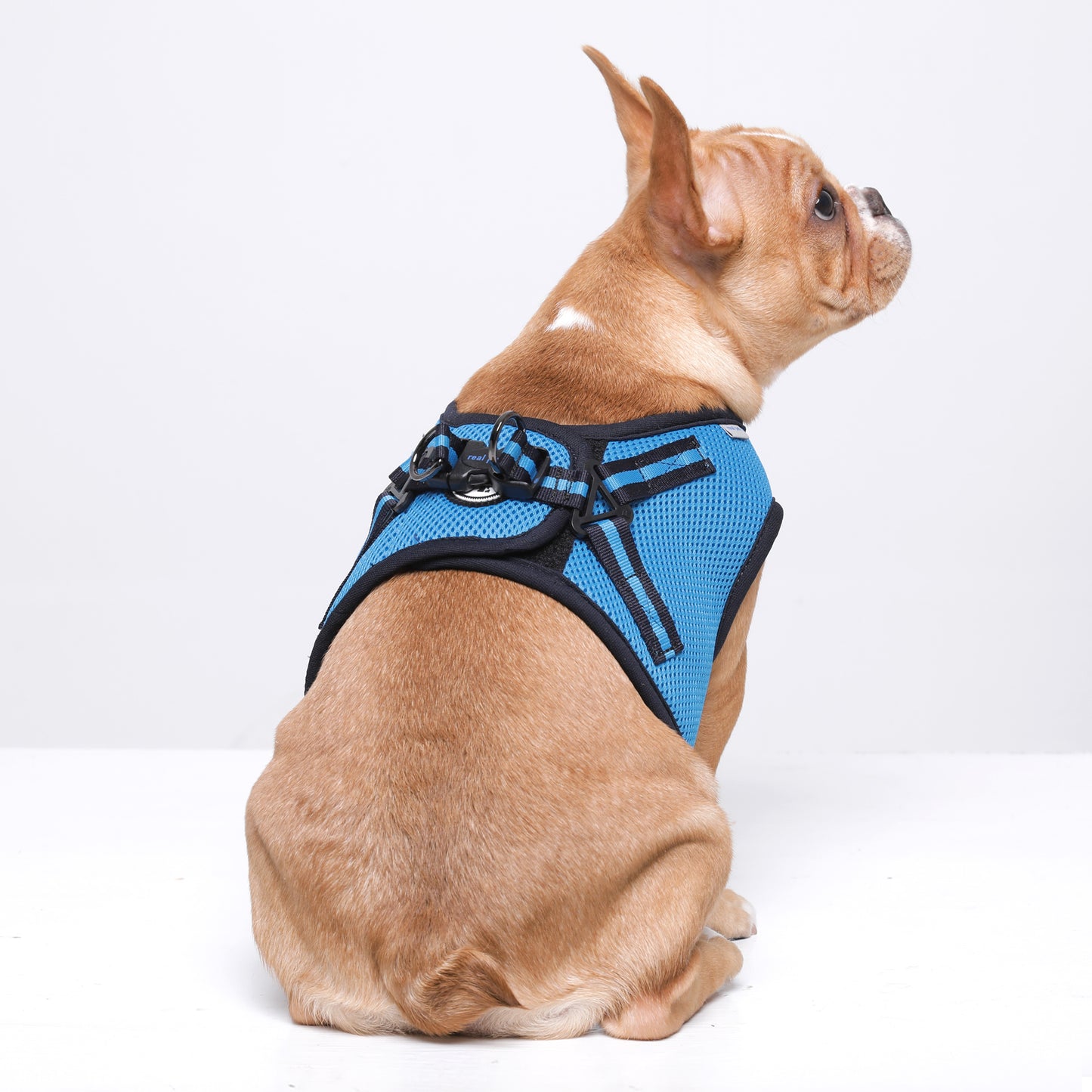 NINE TIMO JACKET HARNESS