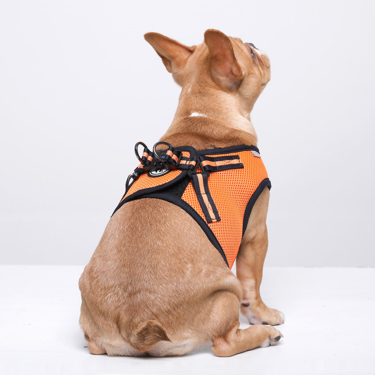 NINE TIMO JACKET HARNESS