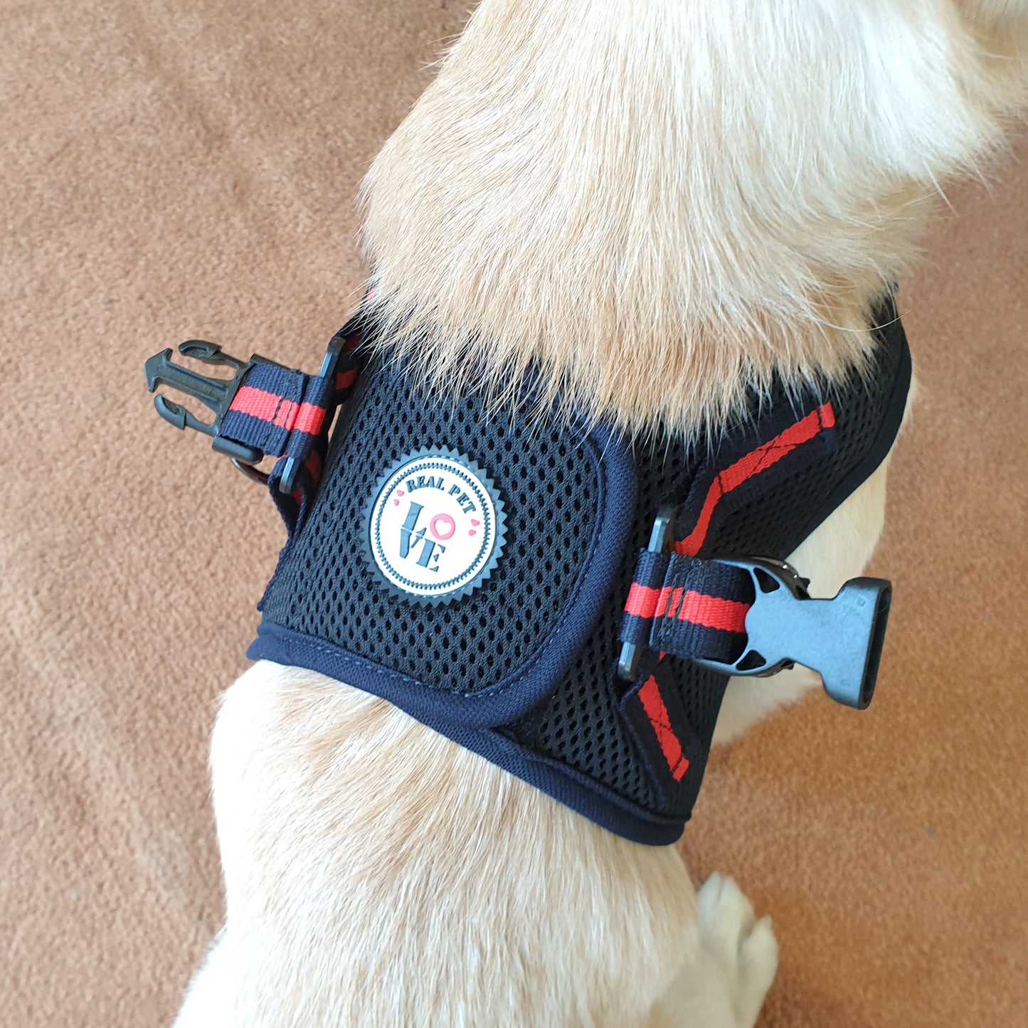 NINE TIMO JACKET HARNESS