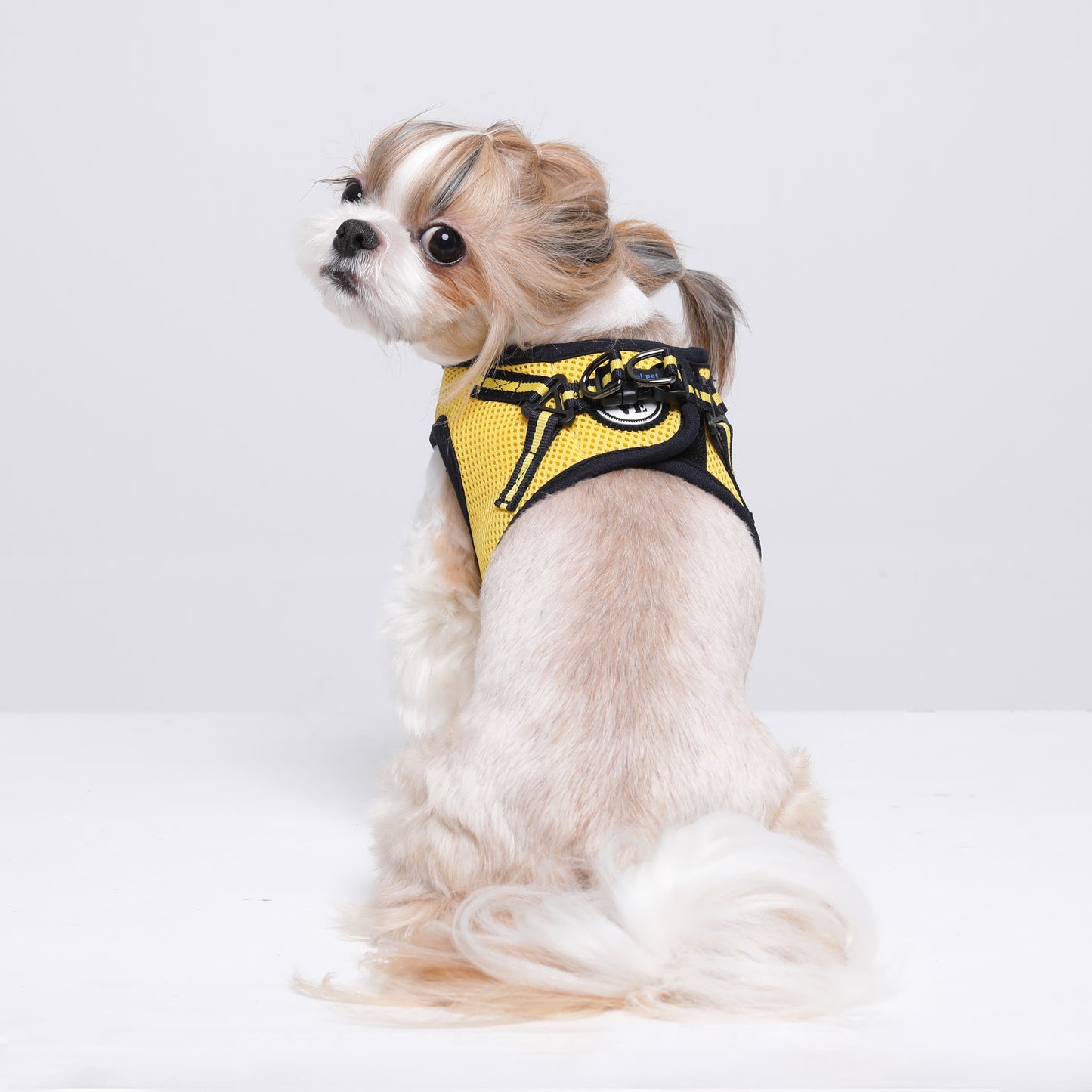 NINE TIMO JACKET HARNESS