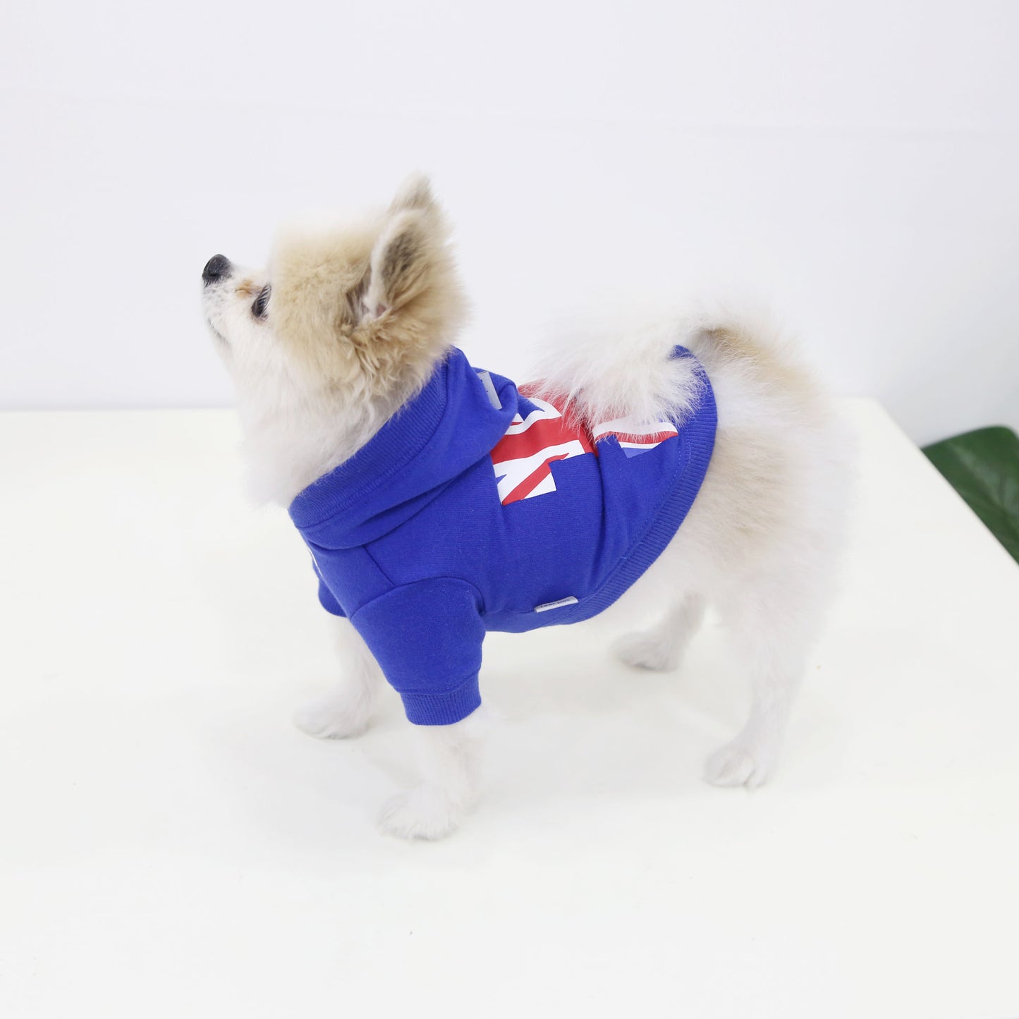 REAL UNION JACK HOOD