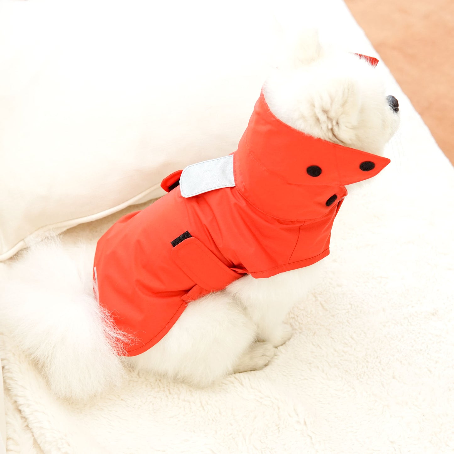 SIMPLE RAINCOAT