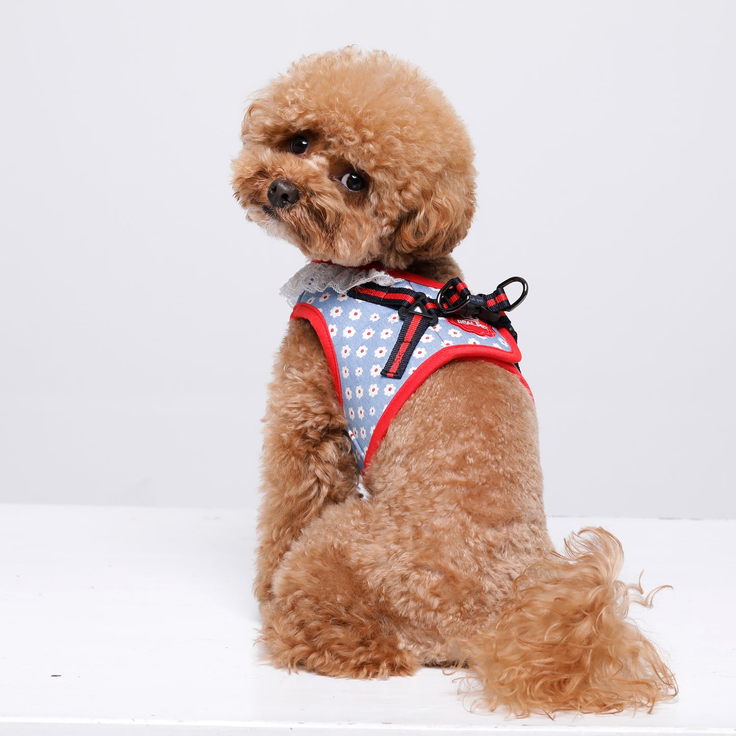 FLOWER JACKET HARNESS
