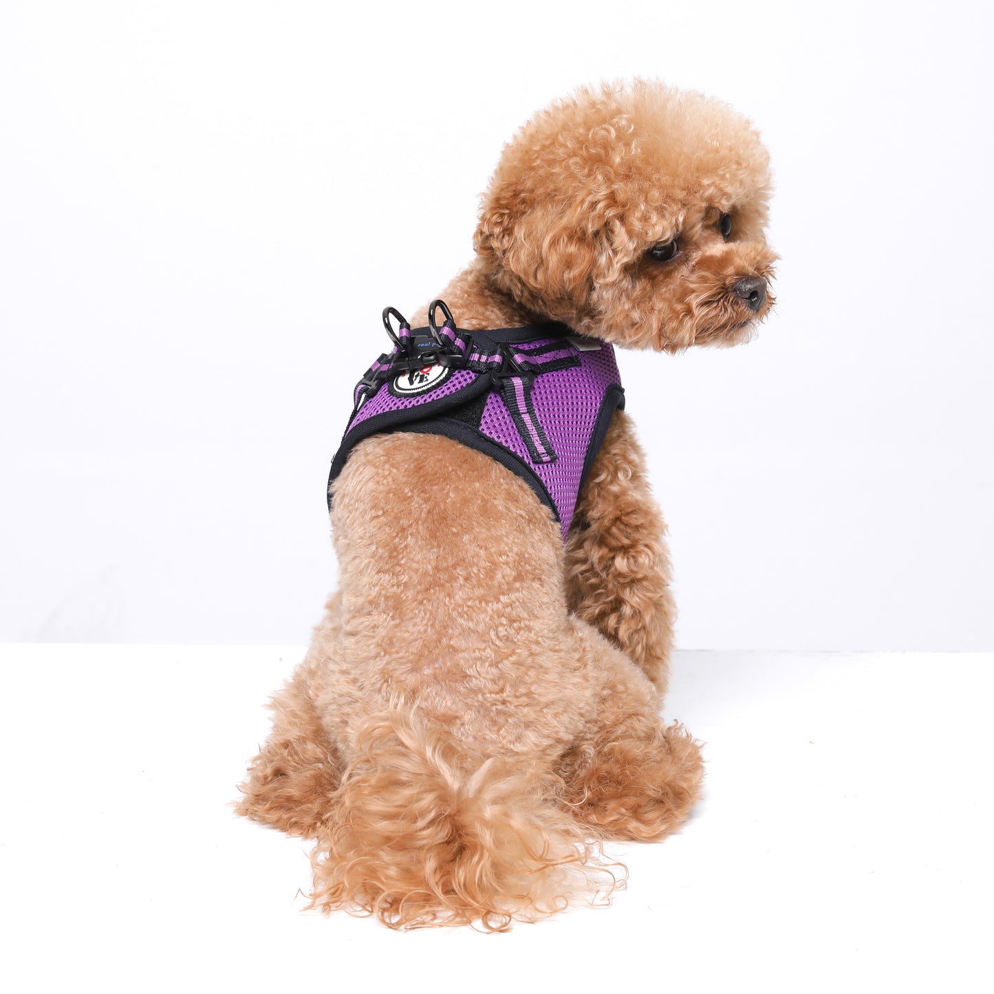 NINE TIMO JACKET HARNESS