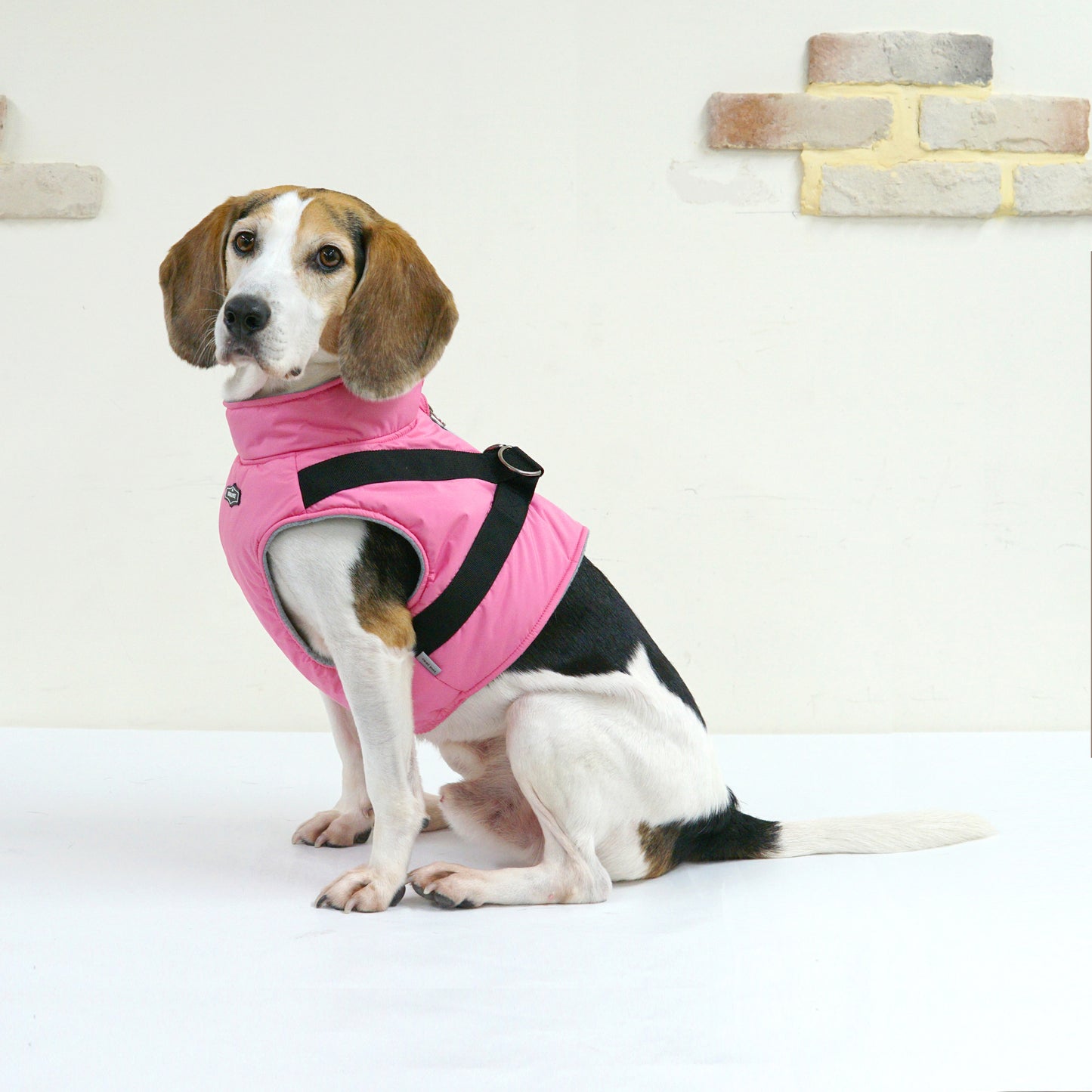 LARGE DOG PADDING HARNESS