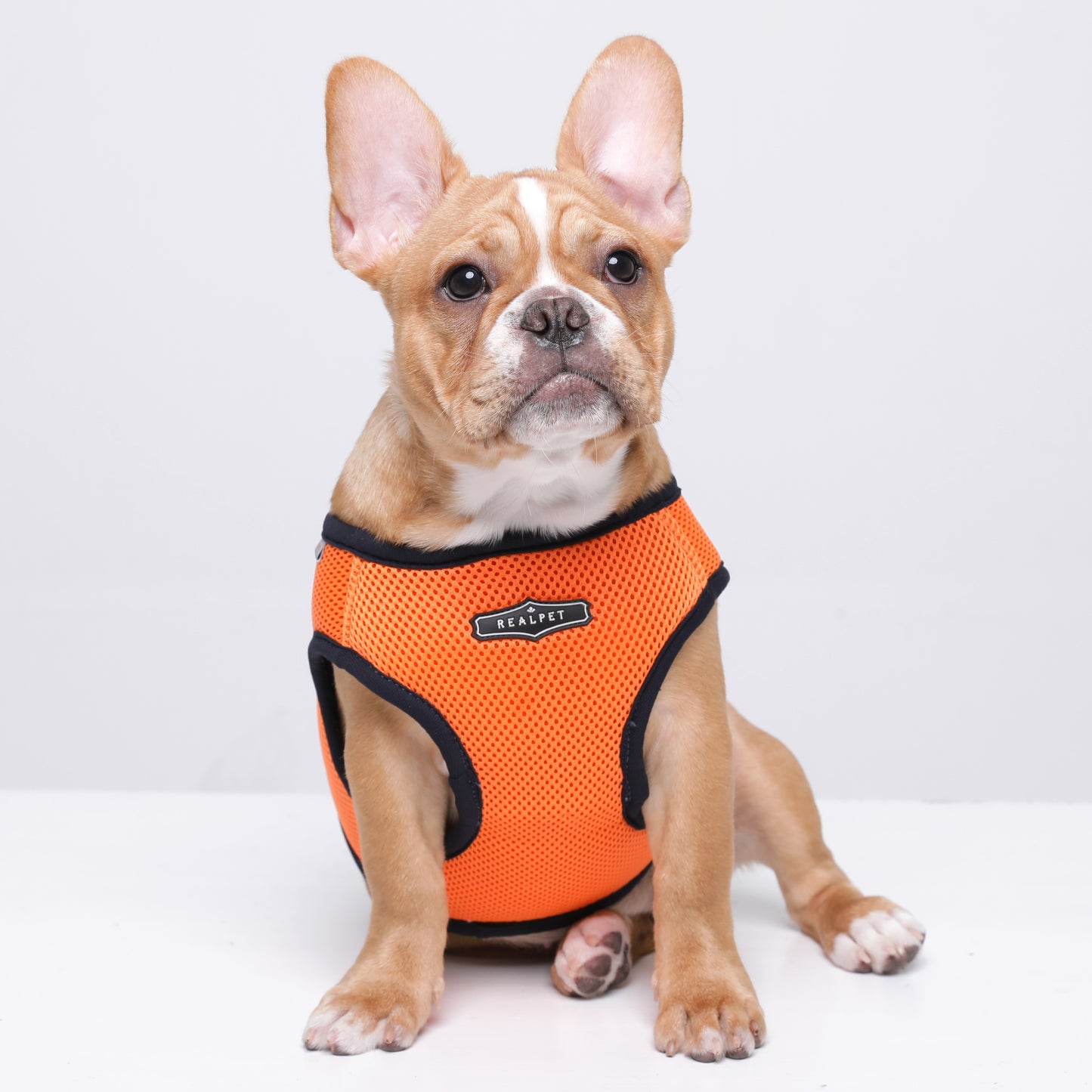 NINE TIMO JACKET HARNESS