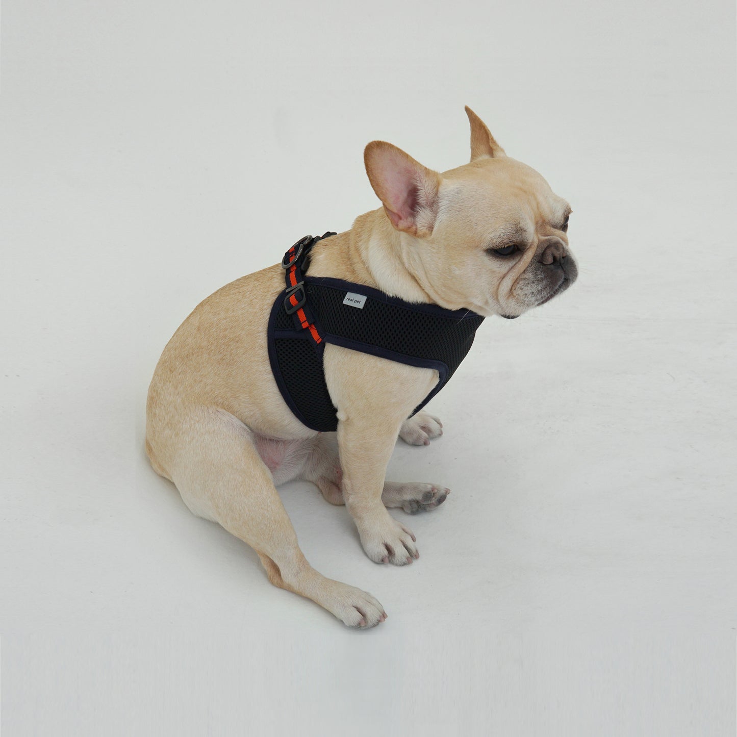 EAZY CONTROL HARNESS