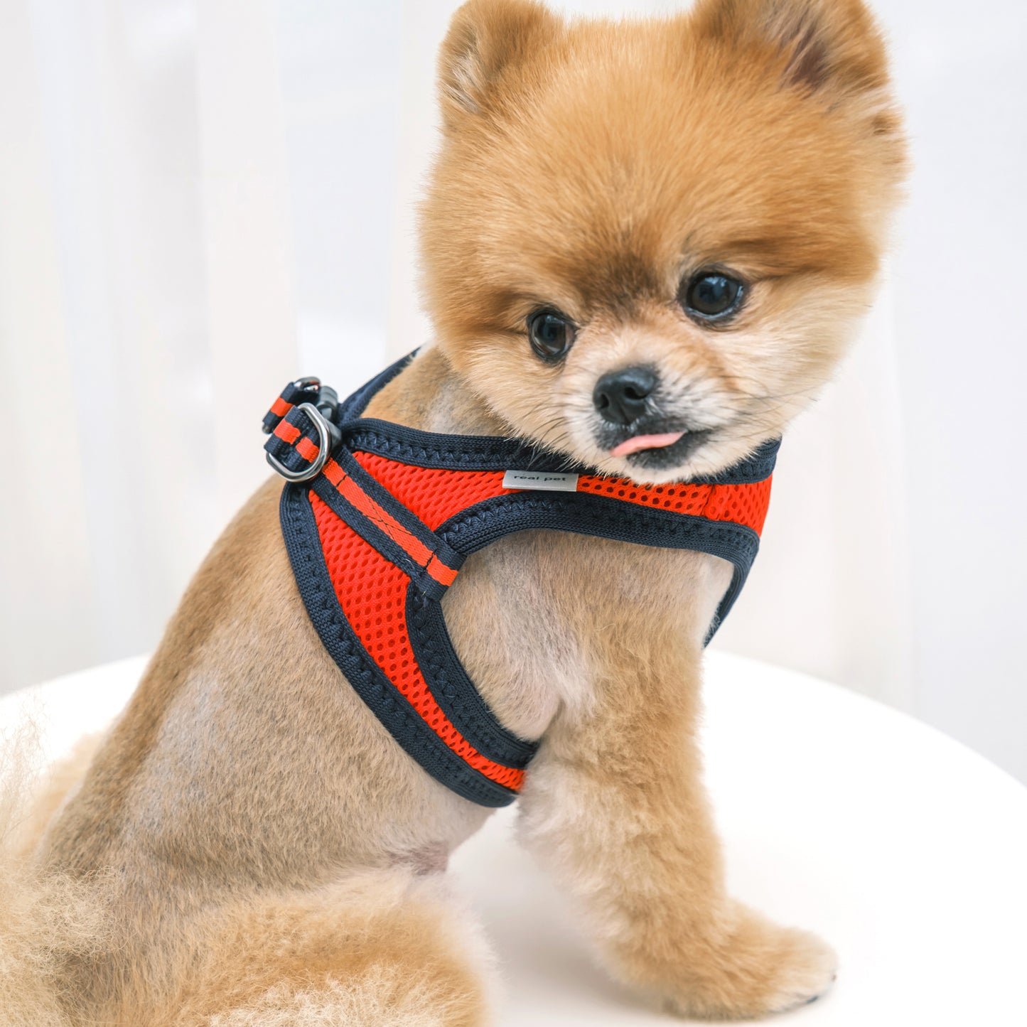 FOUR-SEASON SLIM VEST HARNESS