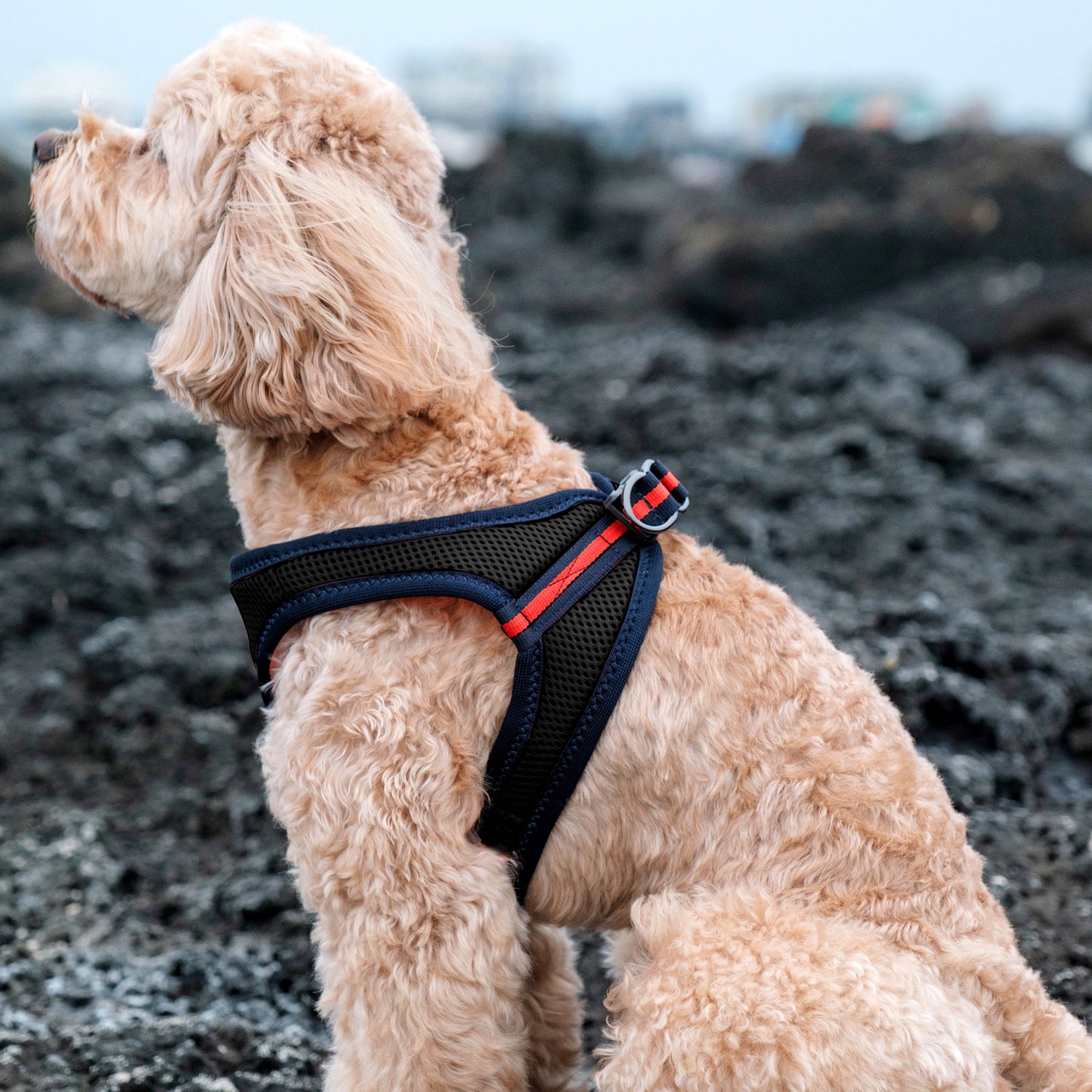 FOUR-SEASON SLIM VEST HARNESS(3L, 4L, 5L, 6L)