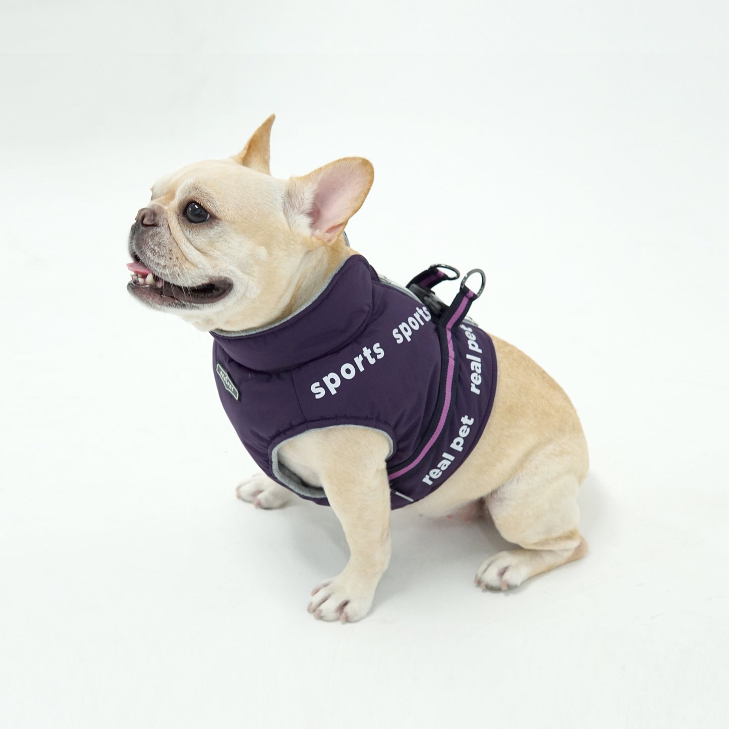 SPORT SHORT PADDING HARNESS