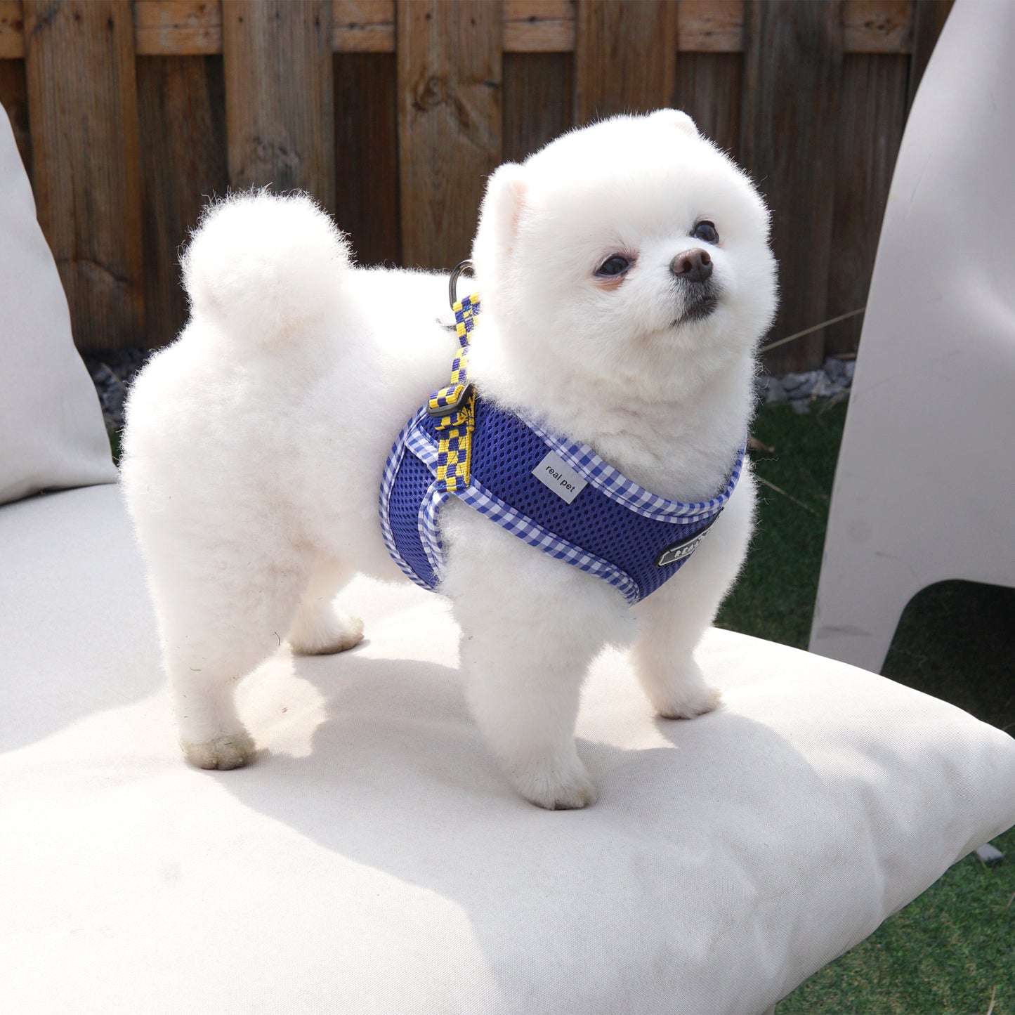 PASTEL CHECK HARNESS
