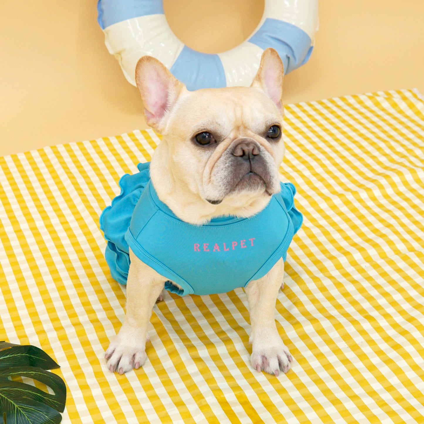 FRILL ALL IN ONE RASHGAURD