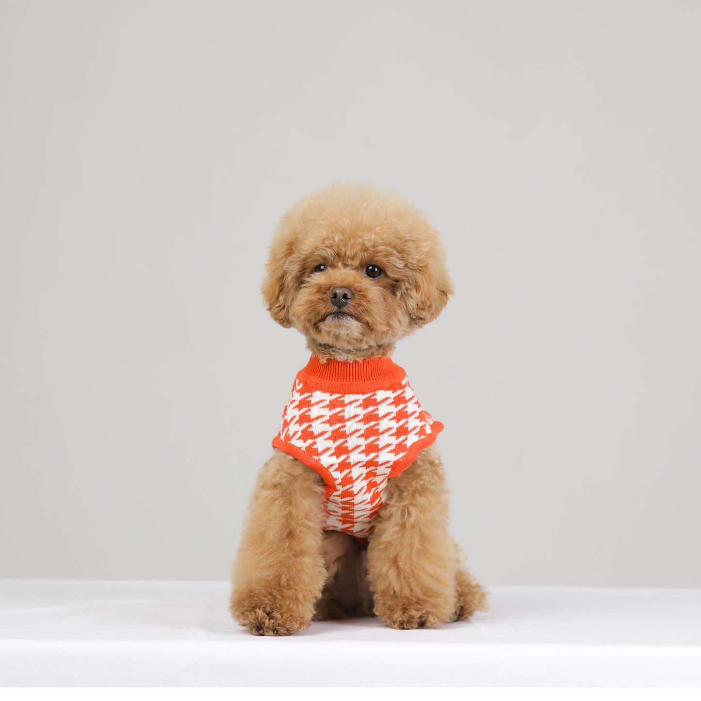 HOUND CHECK KNIT