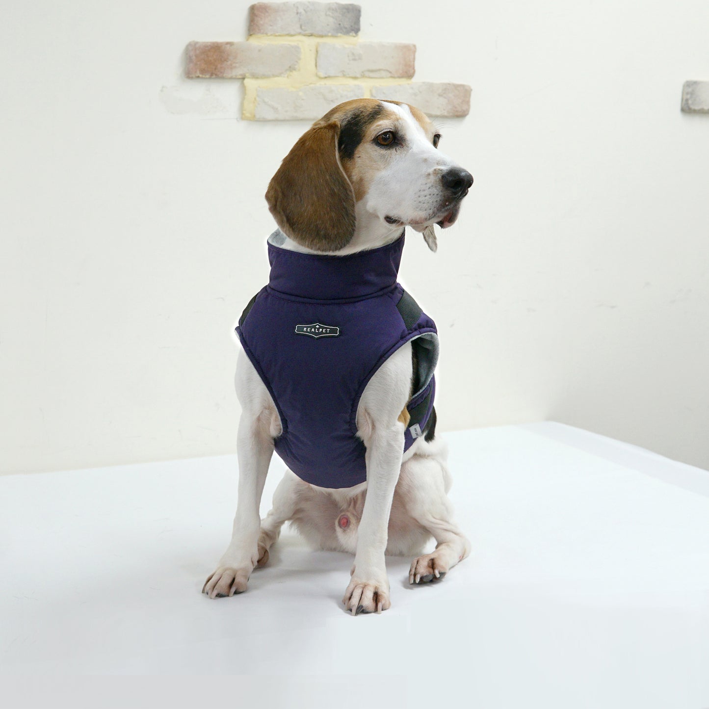 LARGE DOG PADDING HARNESS