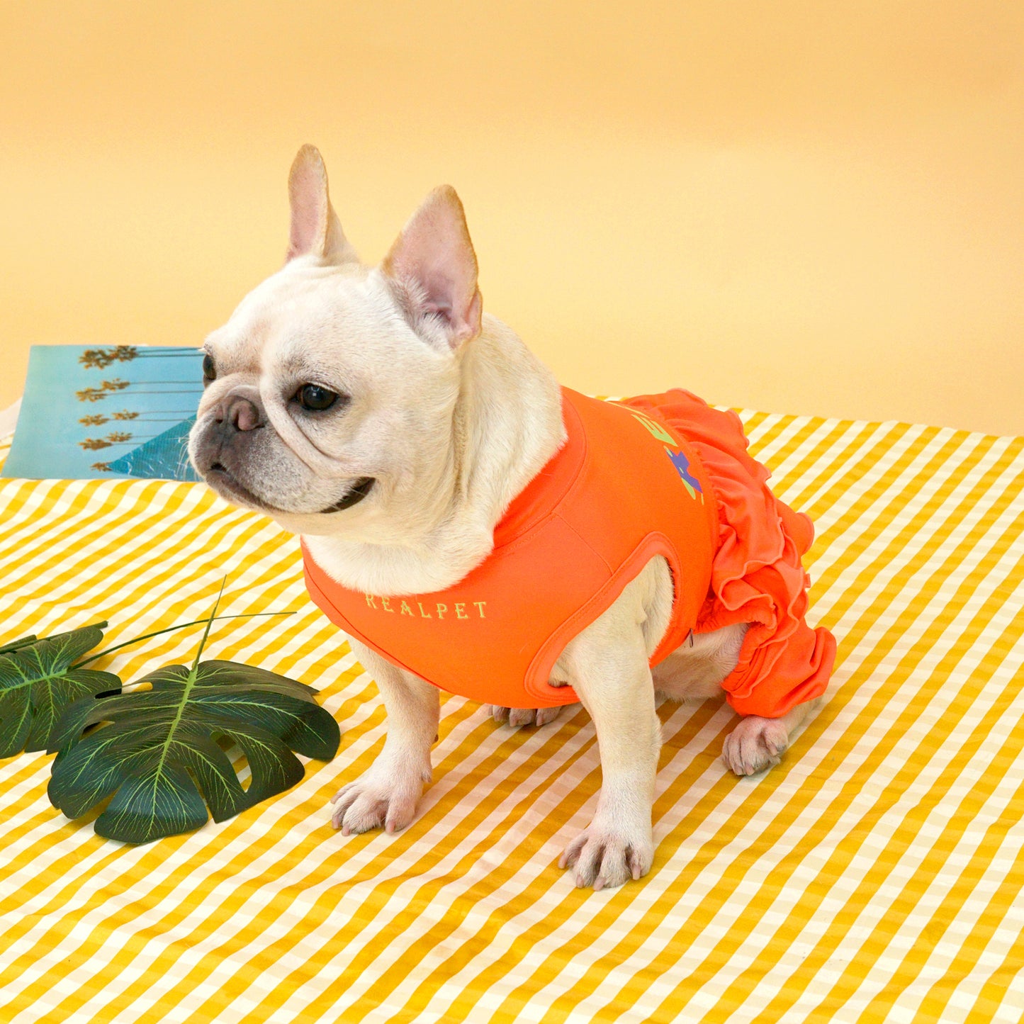FRILL ALL IN ONE RASHGAURD