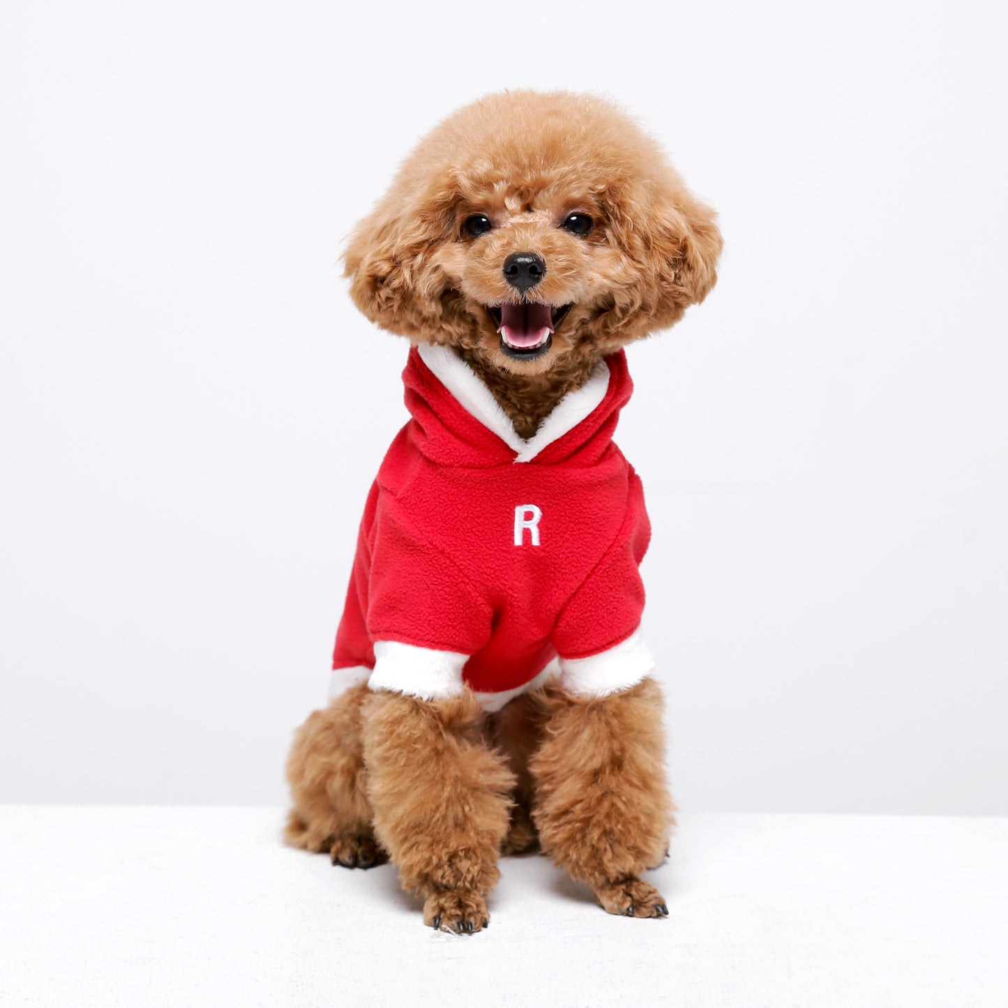 OUR HAPPY CHRISTMAS/RED