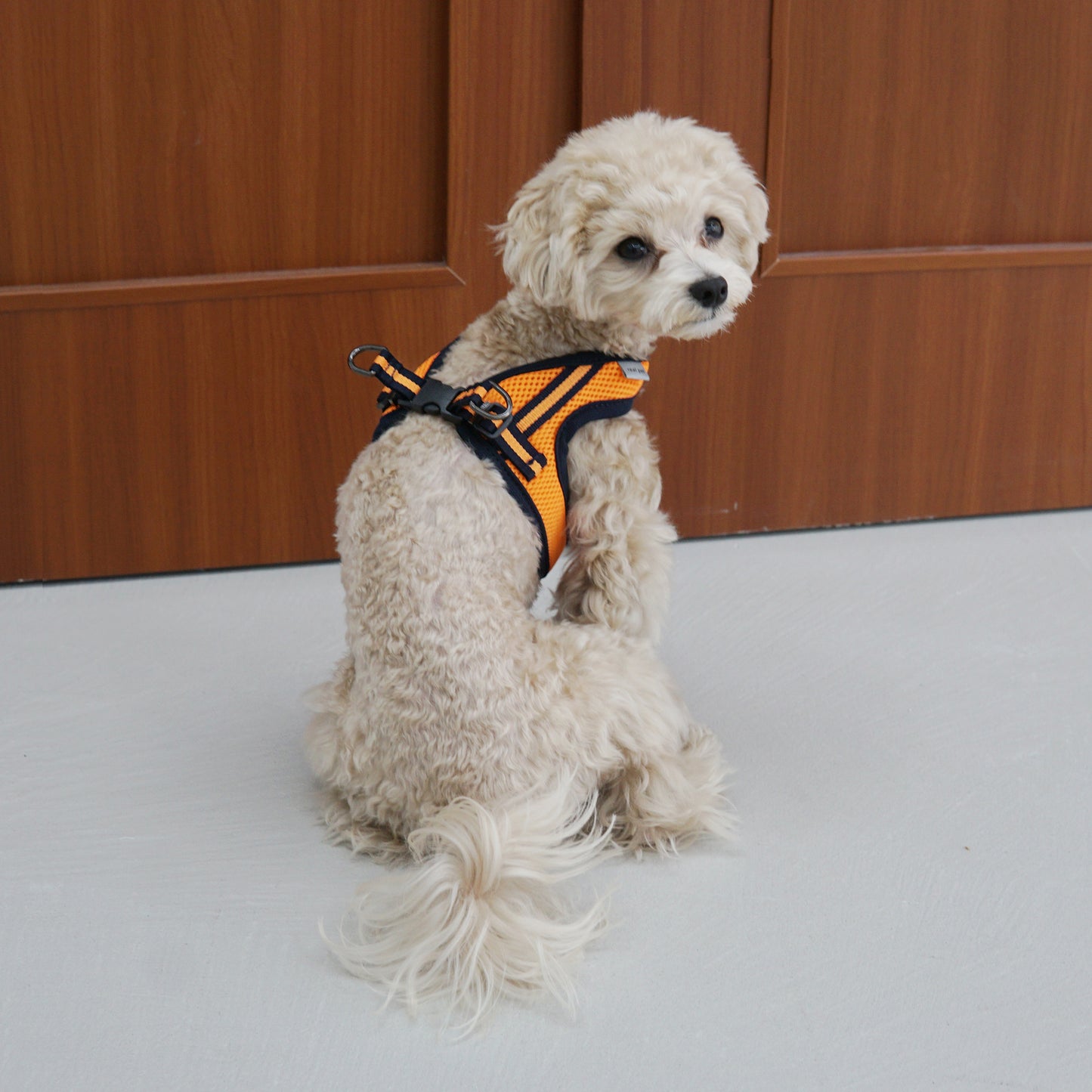 SIMPLY CONTROL HARNESS