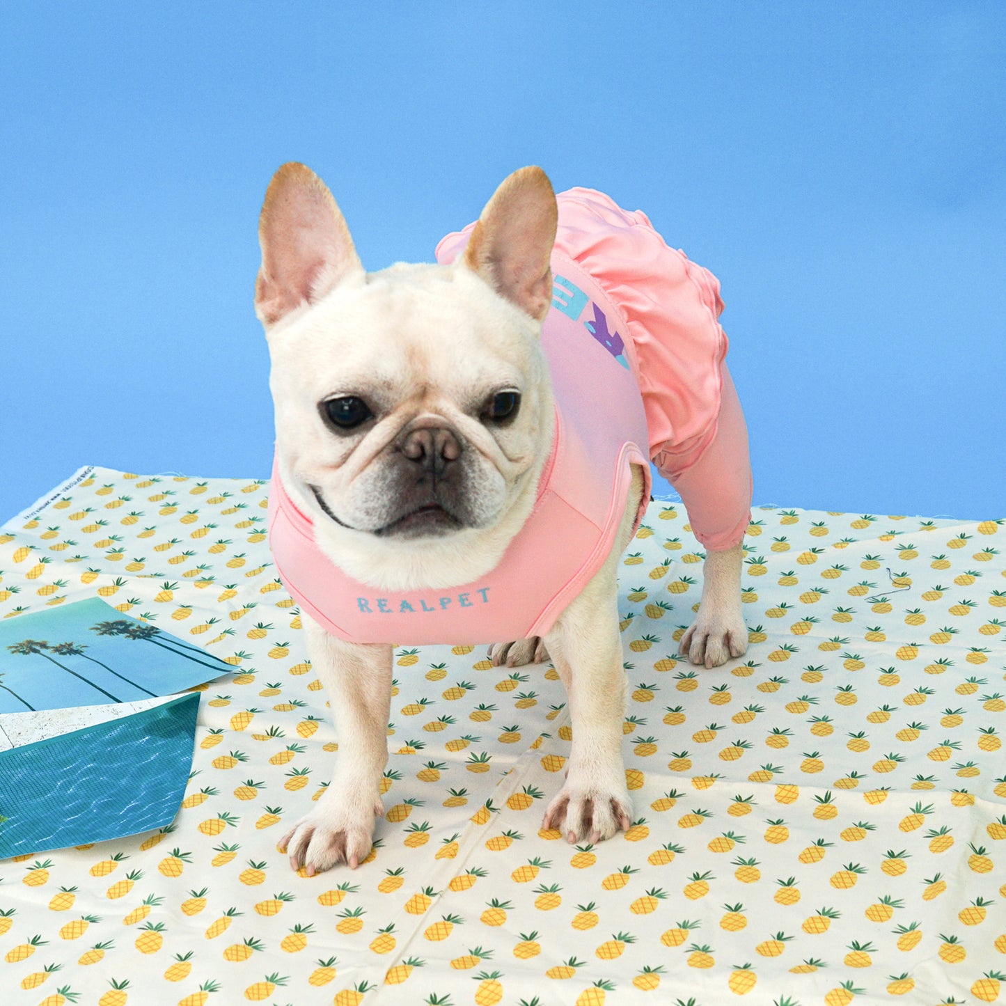 FRILL ALL IN ONE RASHGAURD